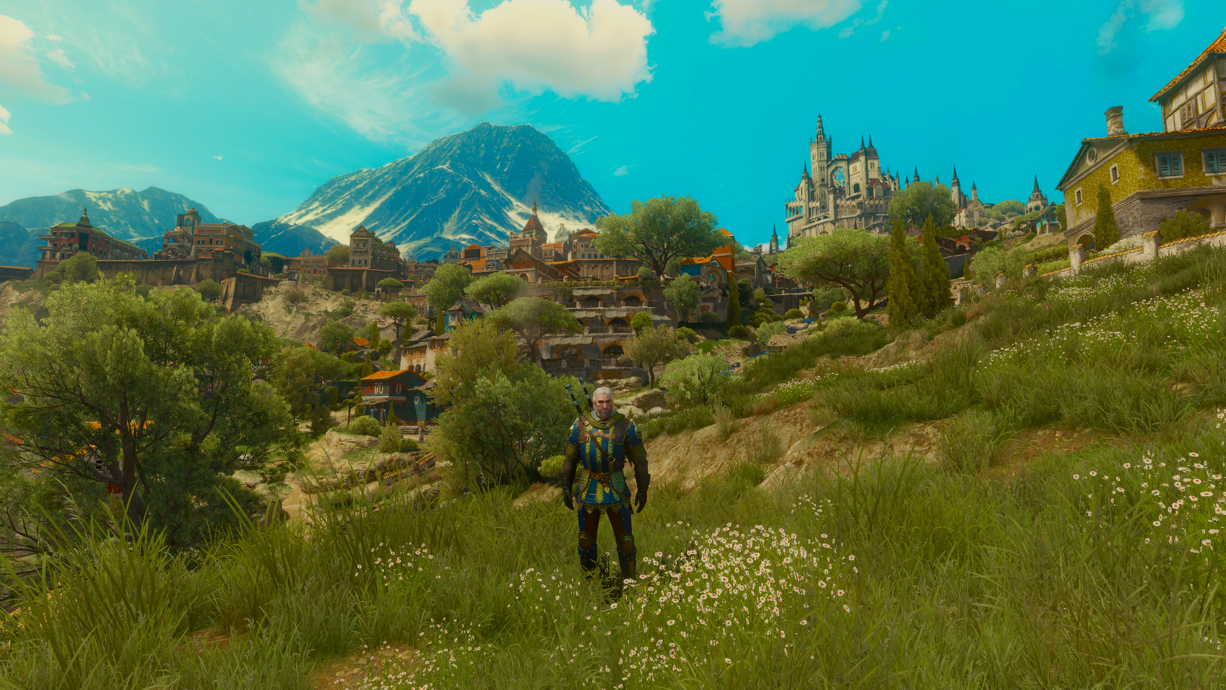 The Witcher 3 Screenshot 2017.05.27 - 16.14.21.25.png