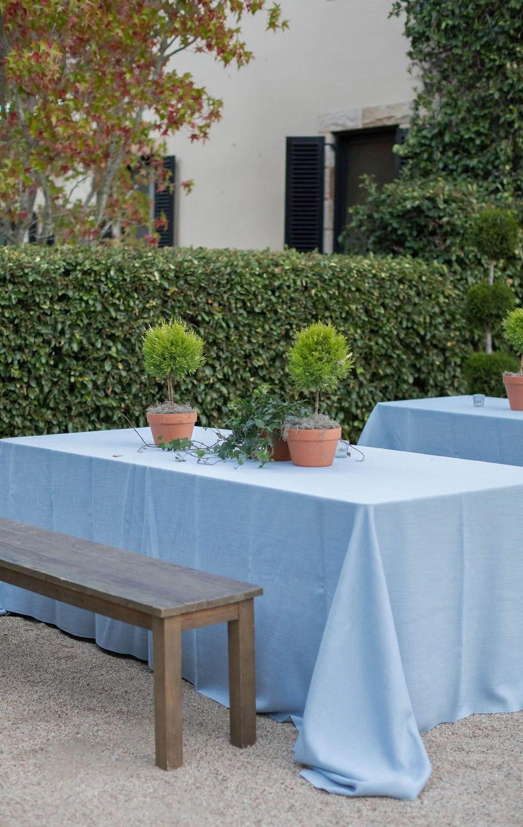 Haroun Events 60.jpg