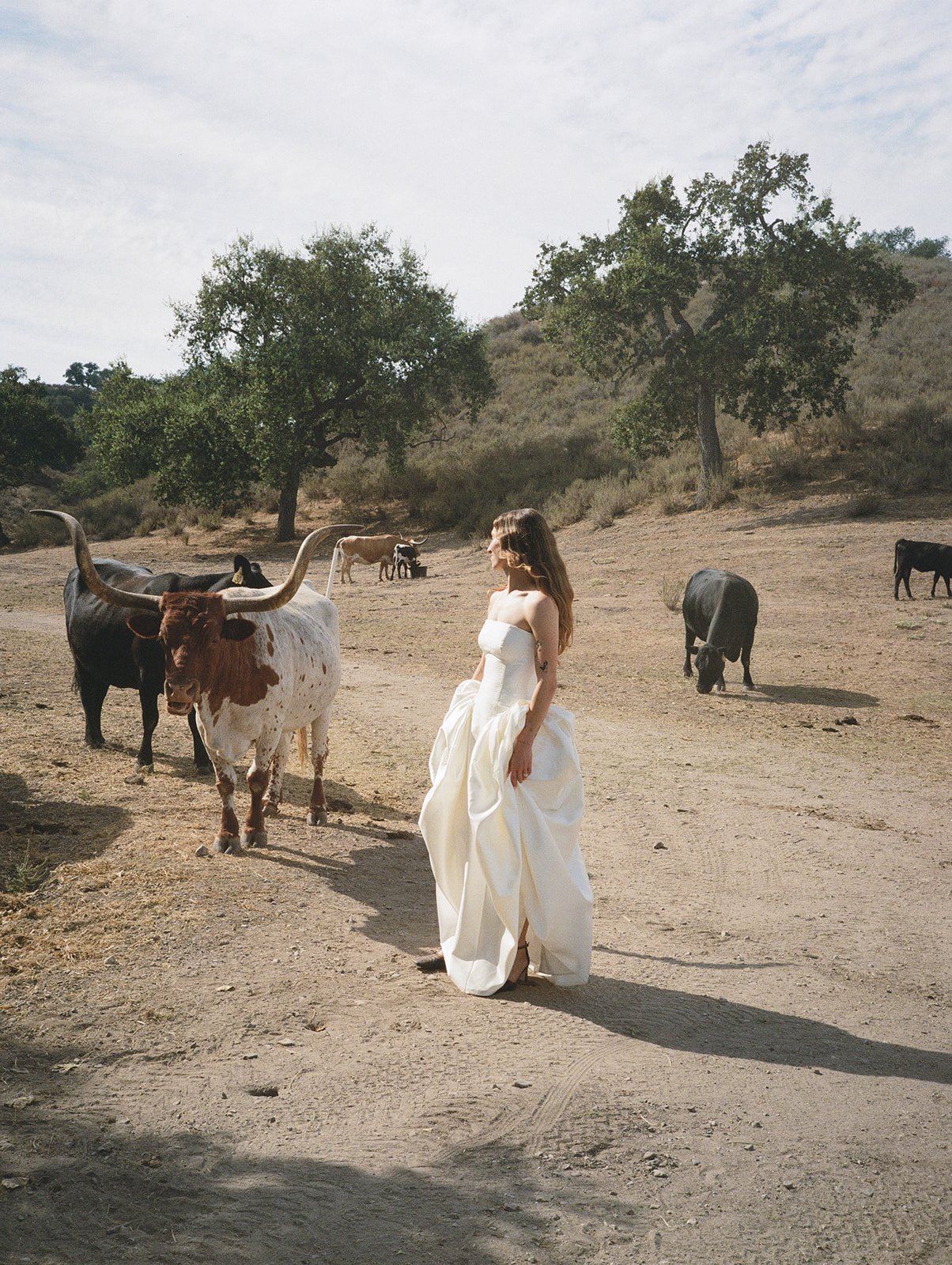 Haroun Events Los Olivos Wedding Planner00032.jpg