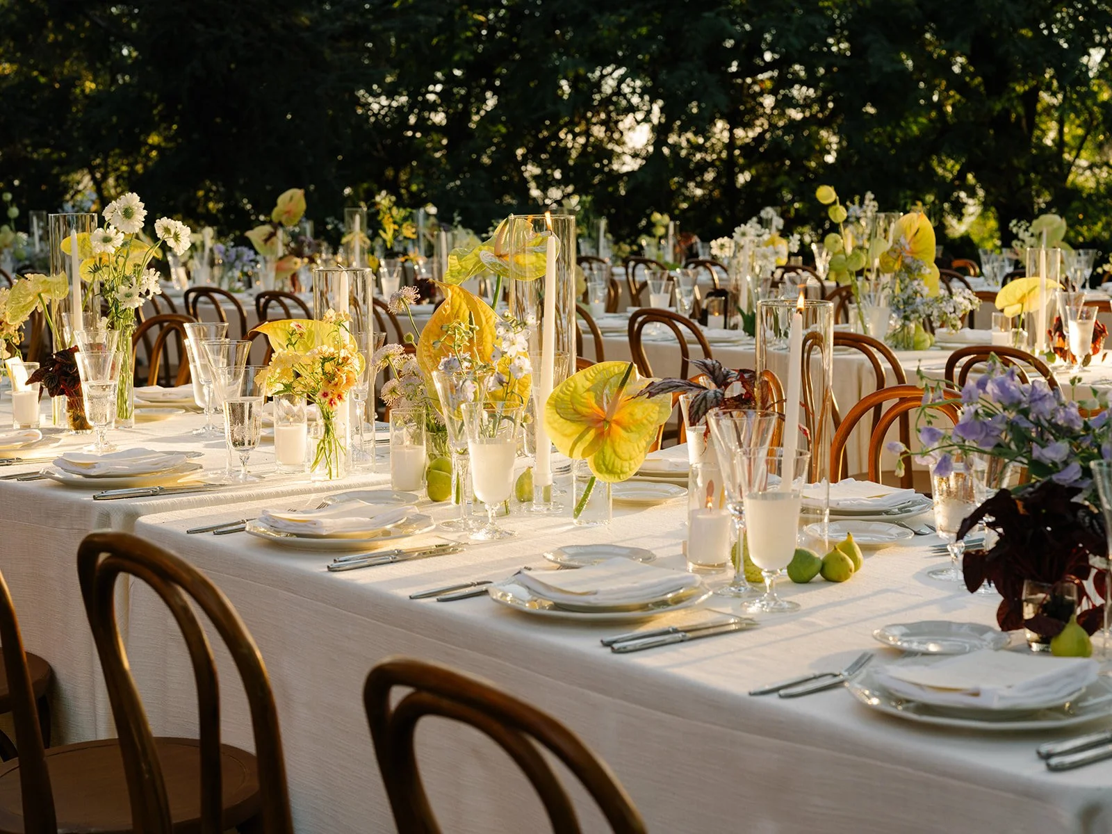 Haroun Events 84.jpg