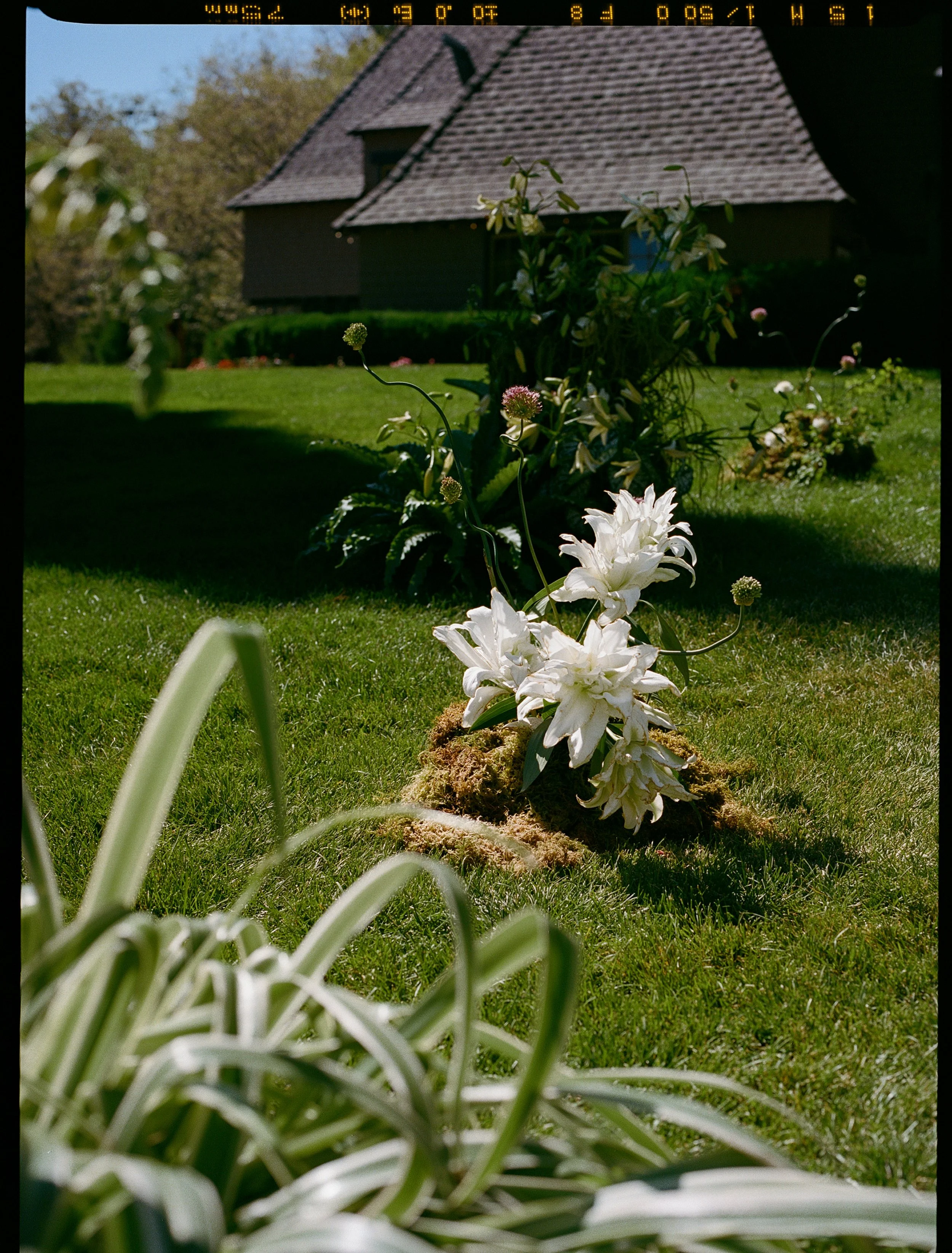 17_kelseycowley_derek&brett_wedding_saturday.jpg