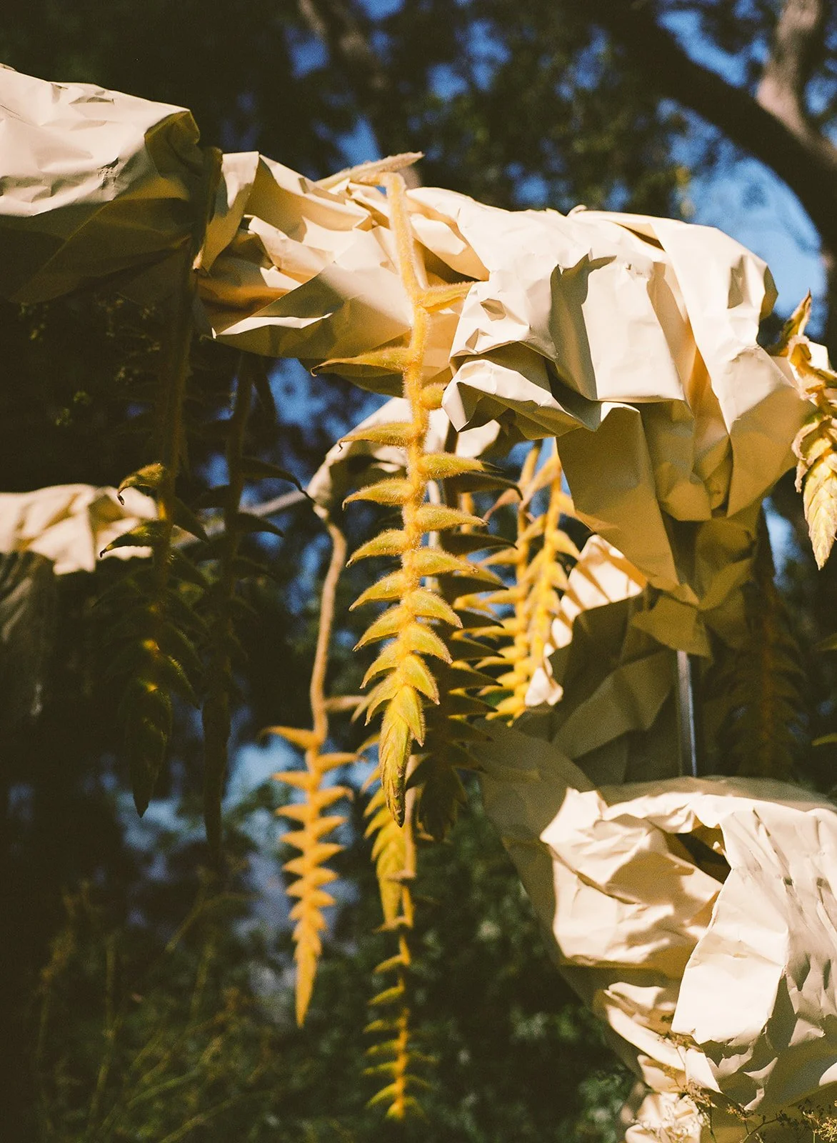 Haroun Events 73.jpg