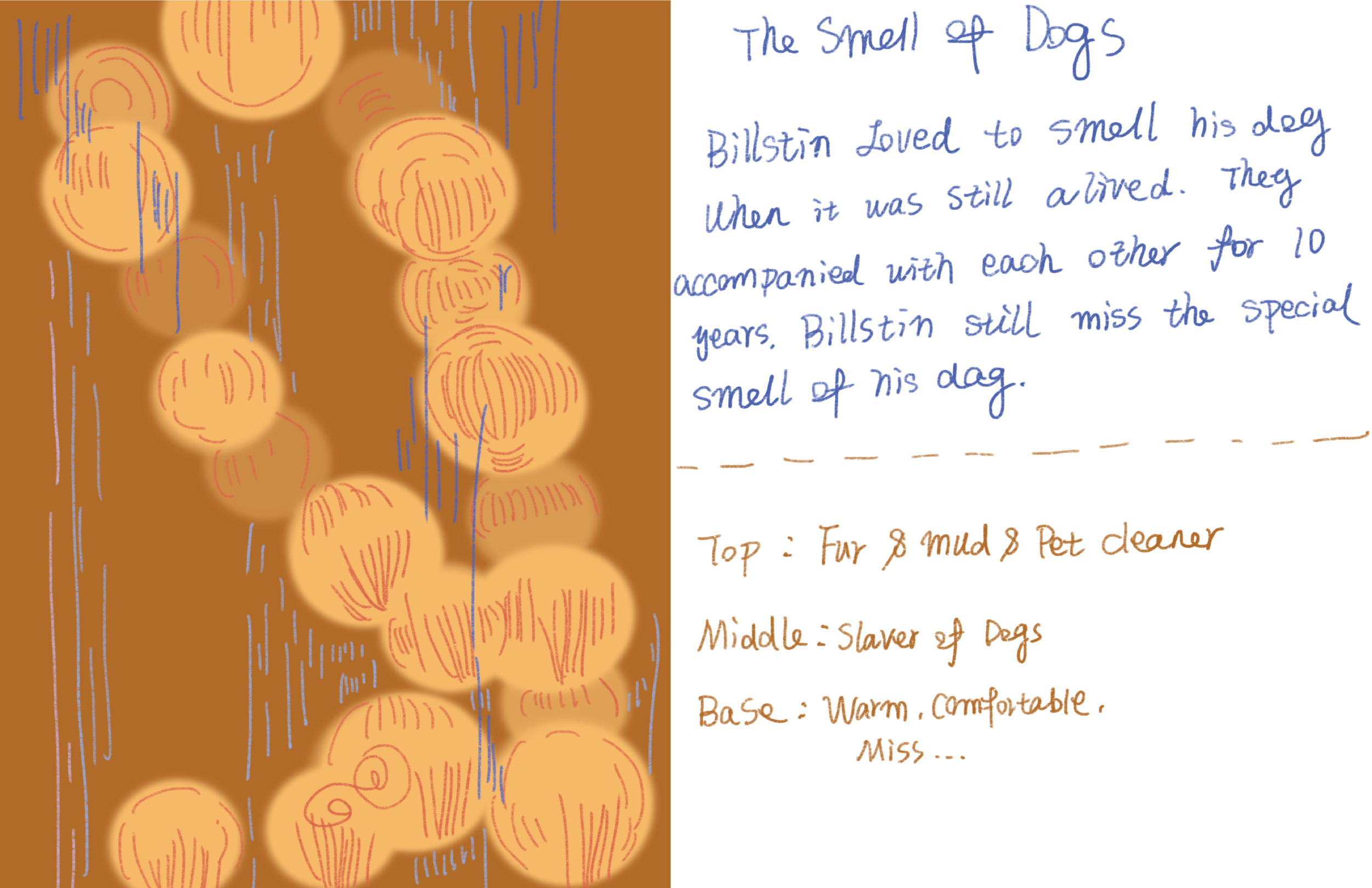 Muse Ds Research-15.png