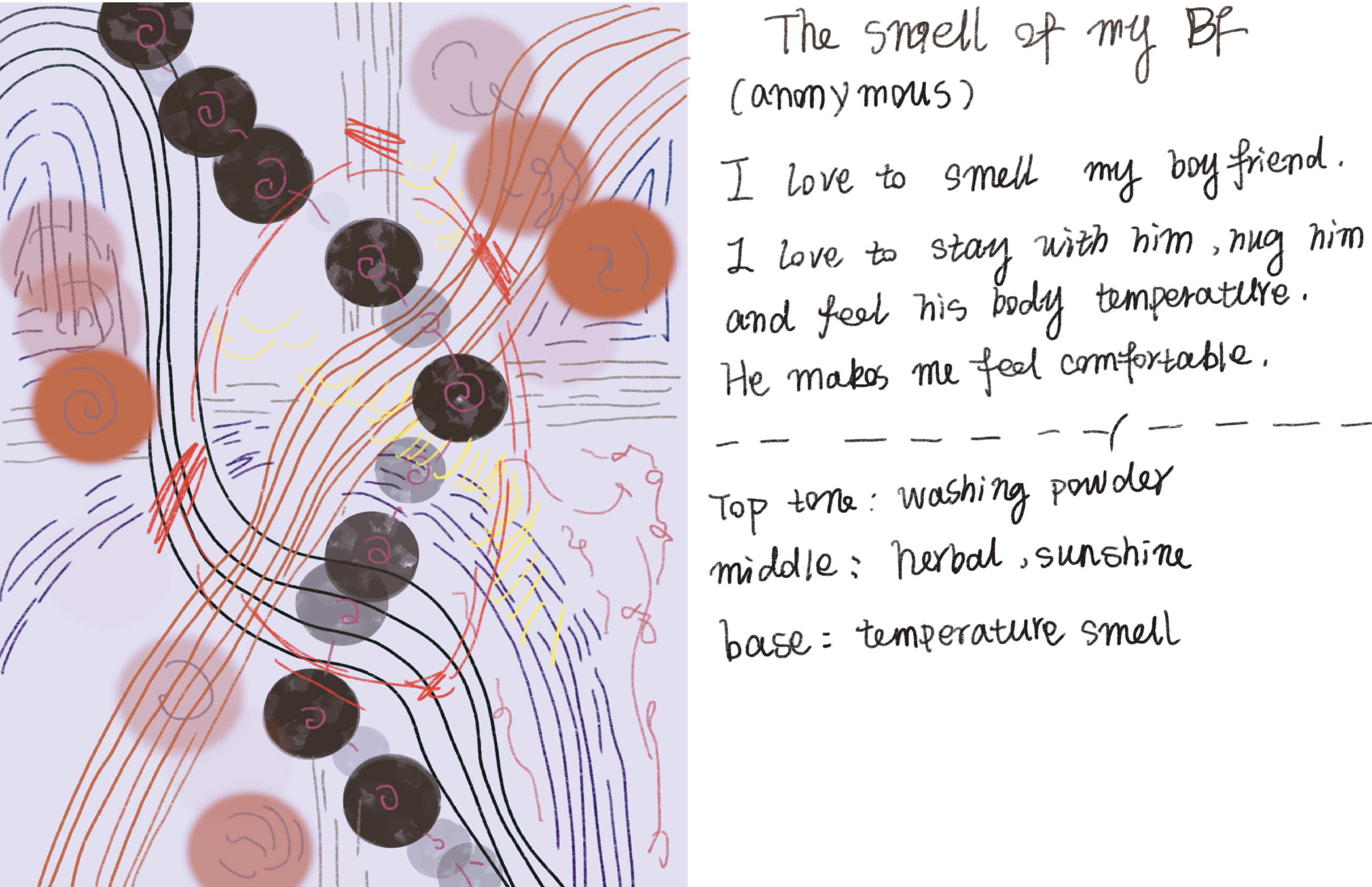 Muse Ds Research-17.png