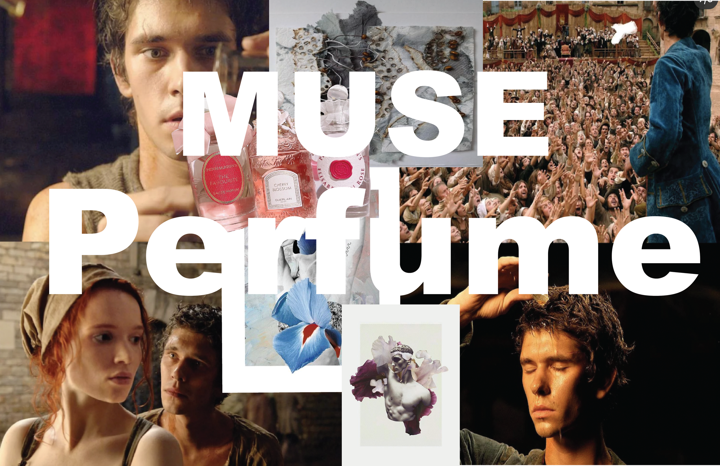 Muse Ds Research-01.png