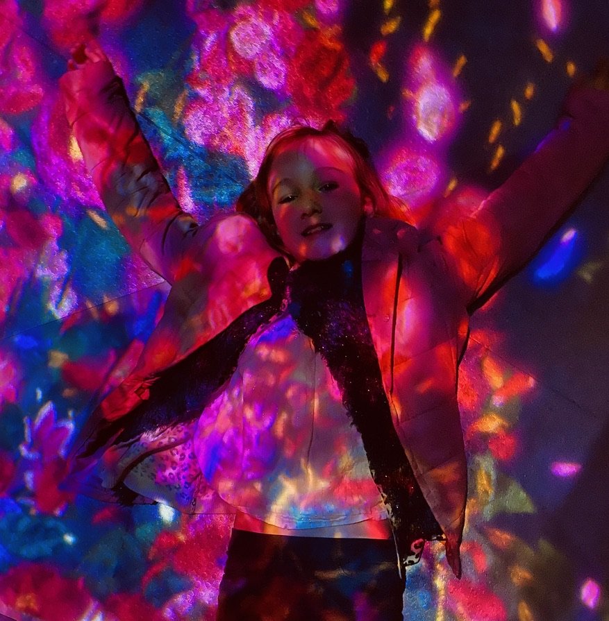 teamLAB Borderless interactive exhibit, Tokyo