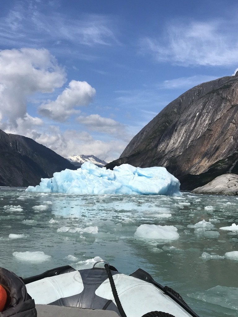 Glacier icebergs in the Endicott Arm