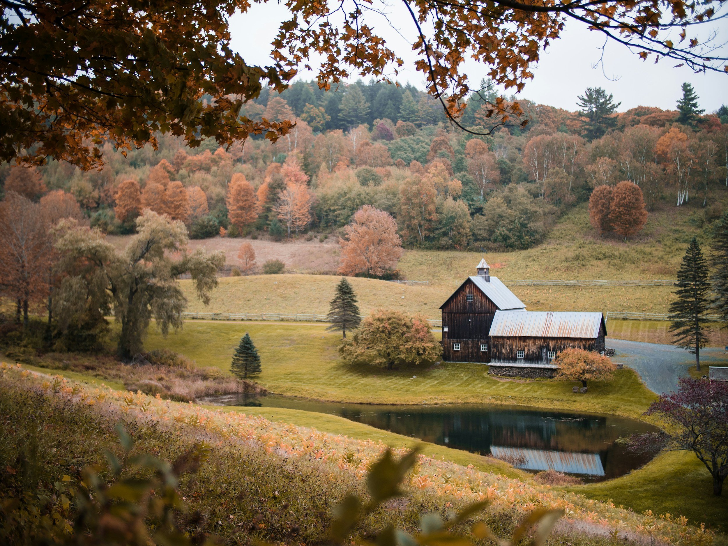Leaf peeping