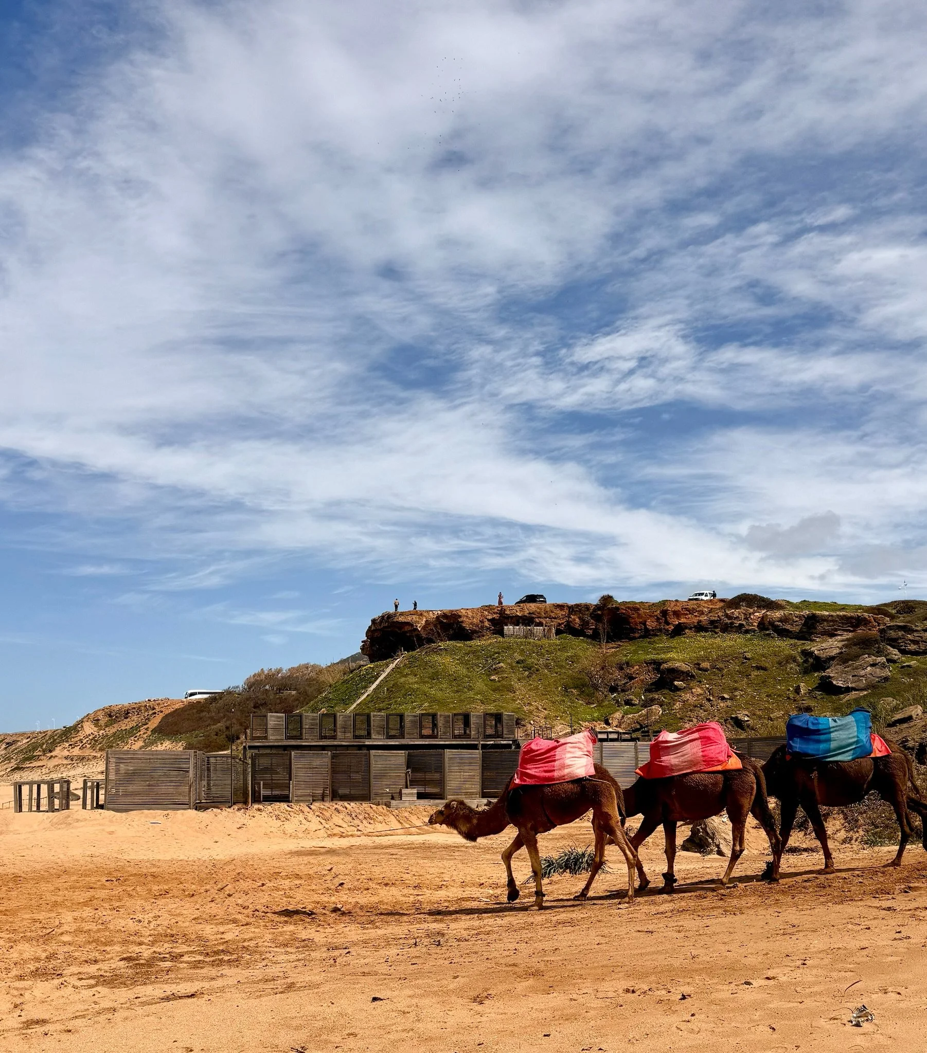 Old meets new, a constant contrast