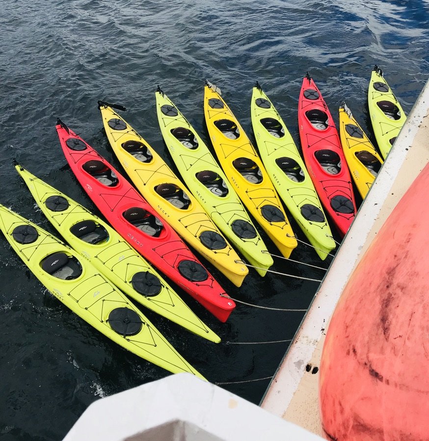 Morning activity