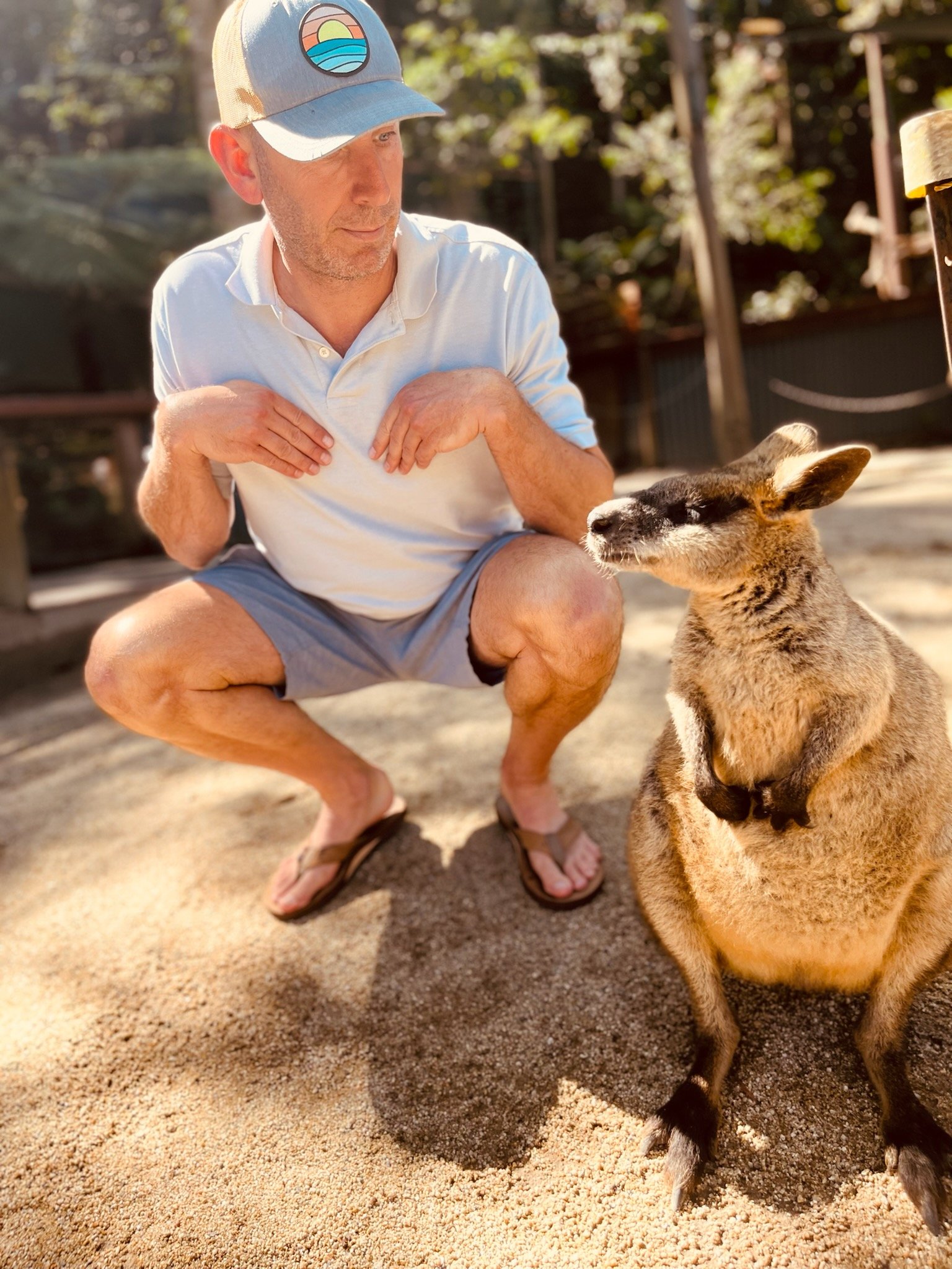 A new friend