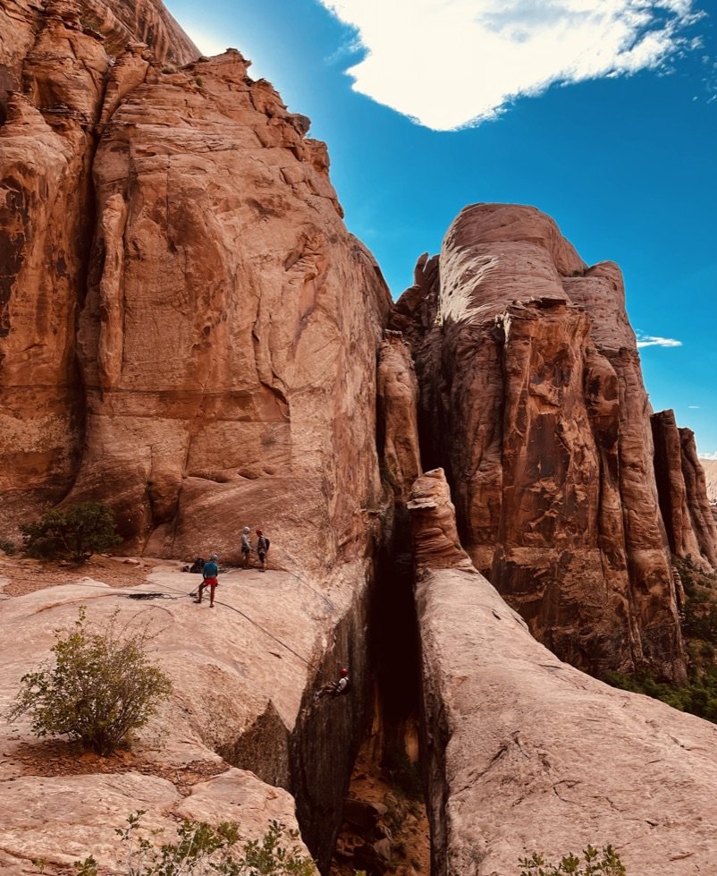 Off he goes - Morning Glory Arch