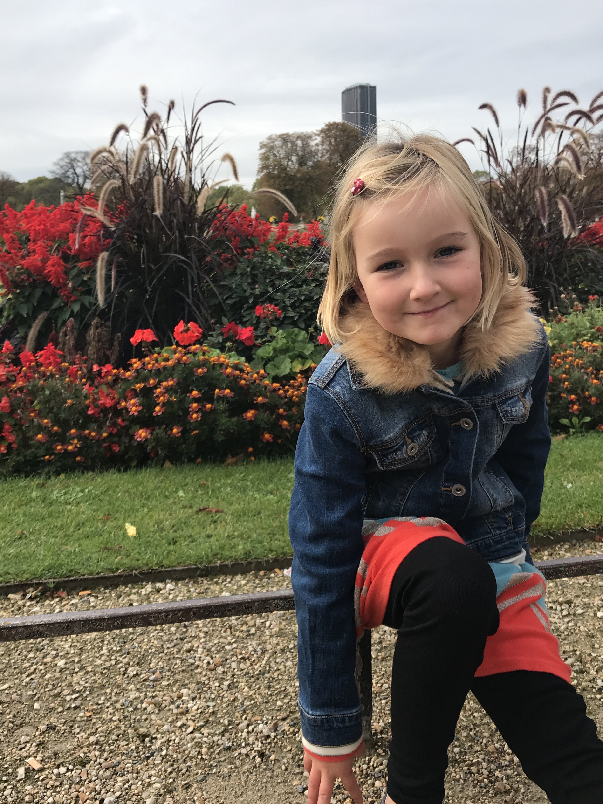 The gardens of Paris