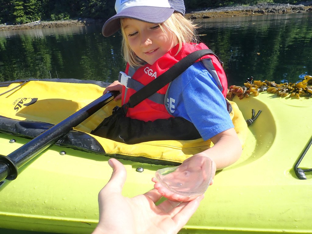 Kayaking in Thomas Bay