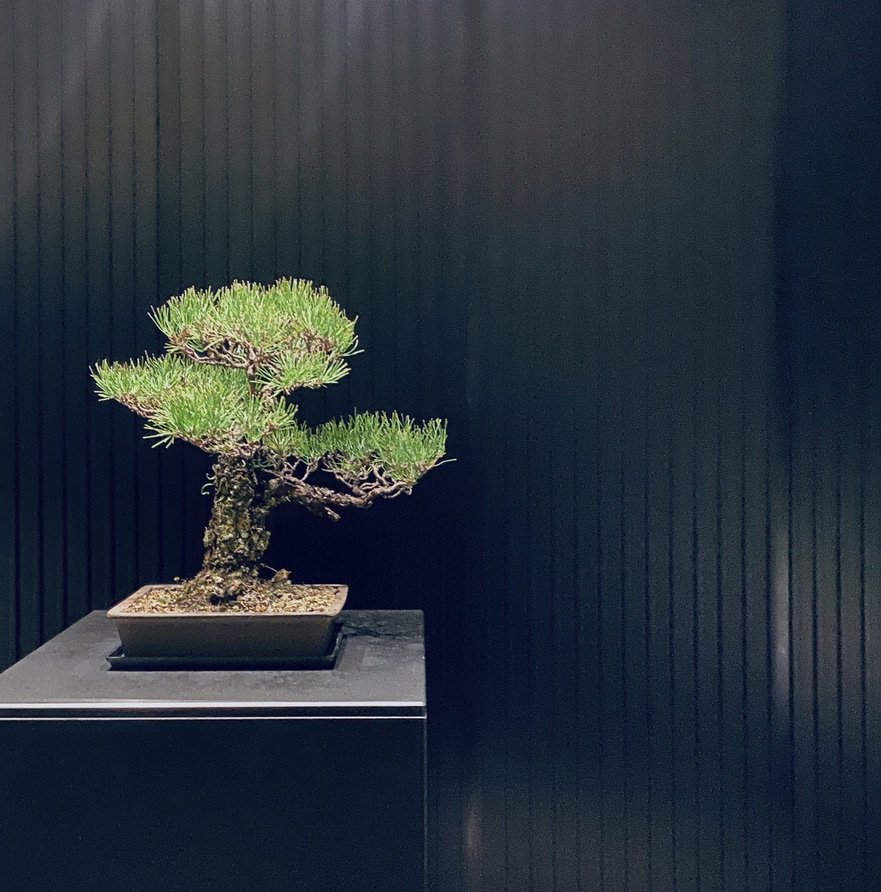 The Four Seasons, Kyoto