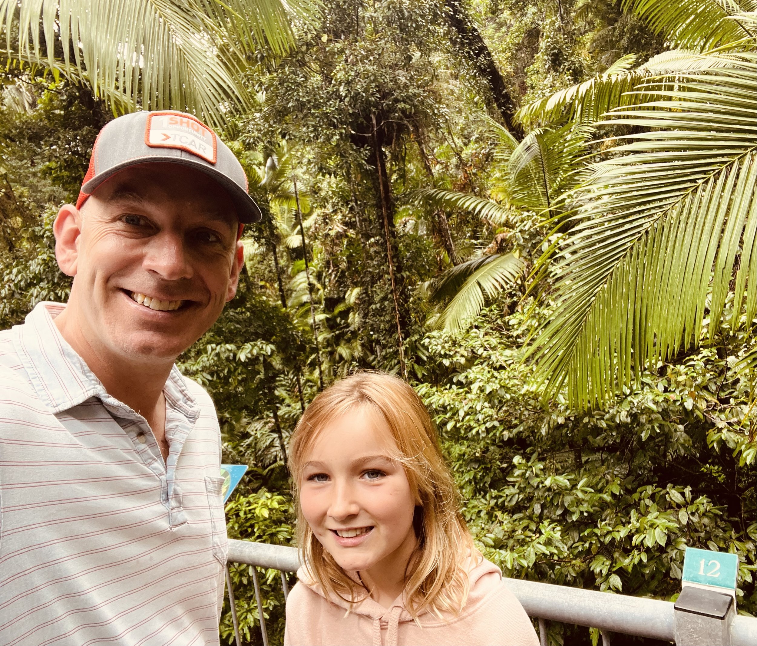 Gondola to the rainforest