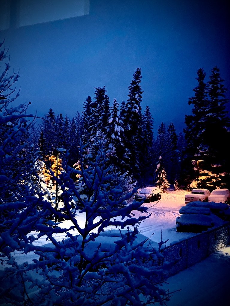 Winter wonderland