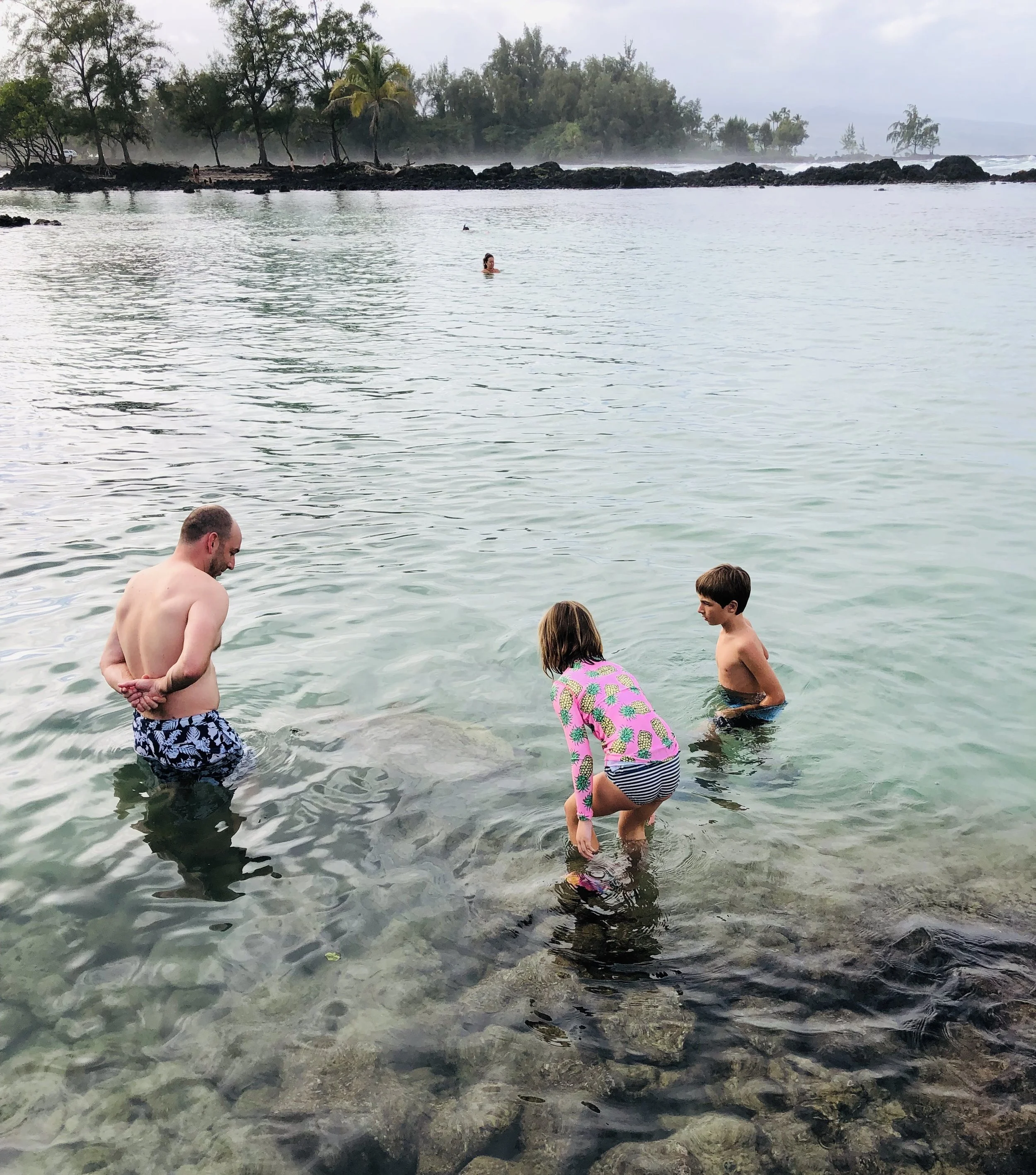 Swimming with turtles at Richardson's, Hilo Big Island
