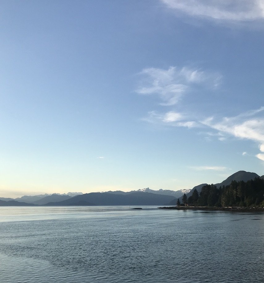 87FF50B6-877F-4D21-8729-C6871103562A_1_105_c.jpeg