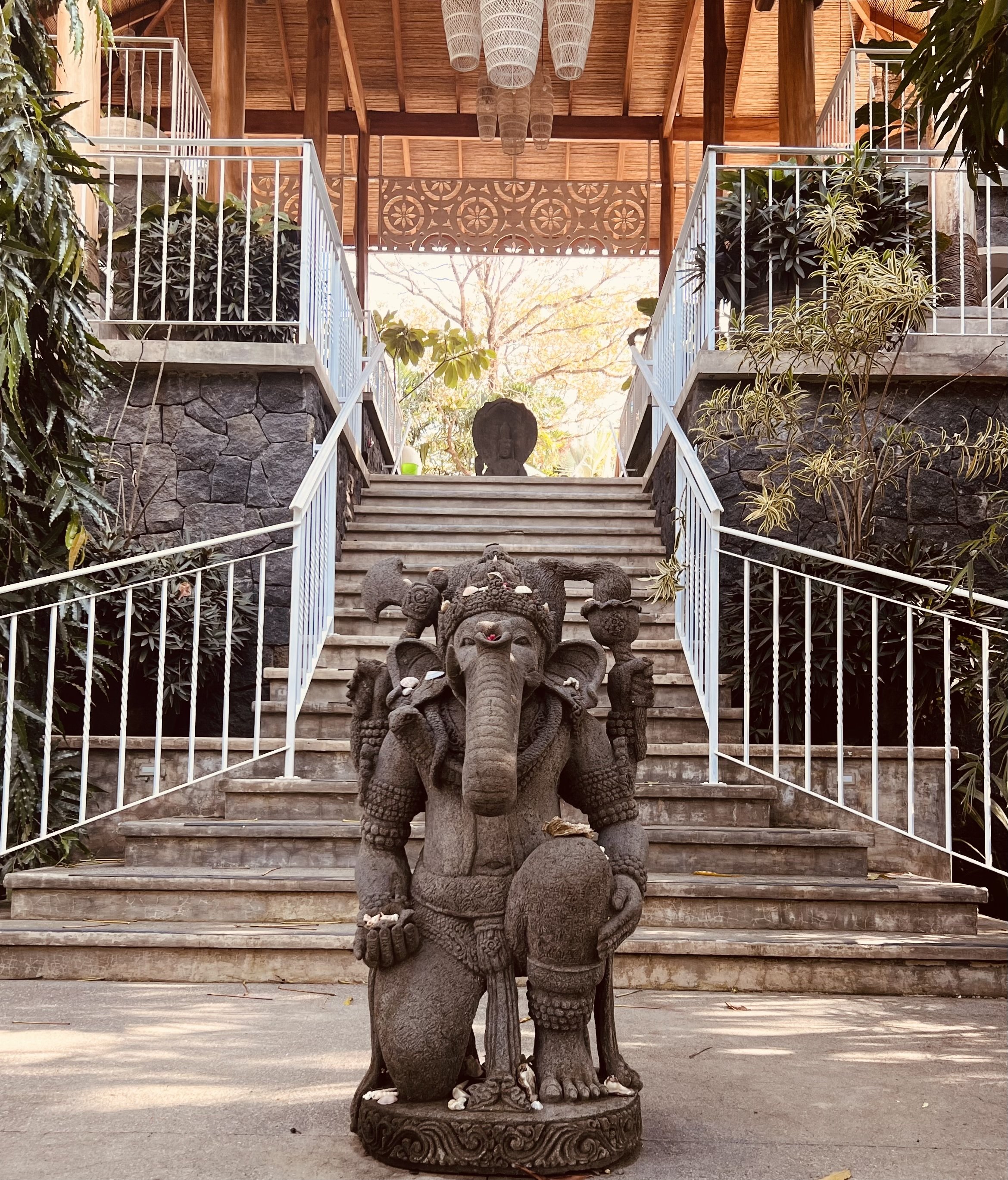 The Bodhi Tree Yoga & Surf Resort