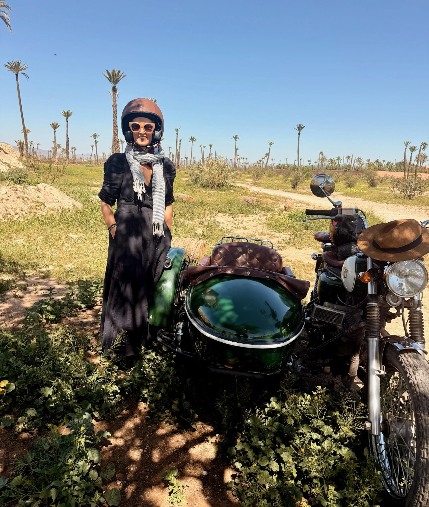 and La Palmeraie north of the city - date palm and orange groves for miles