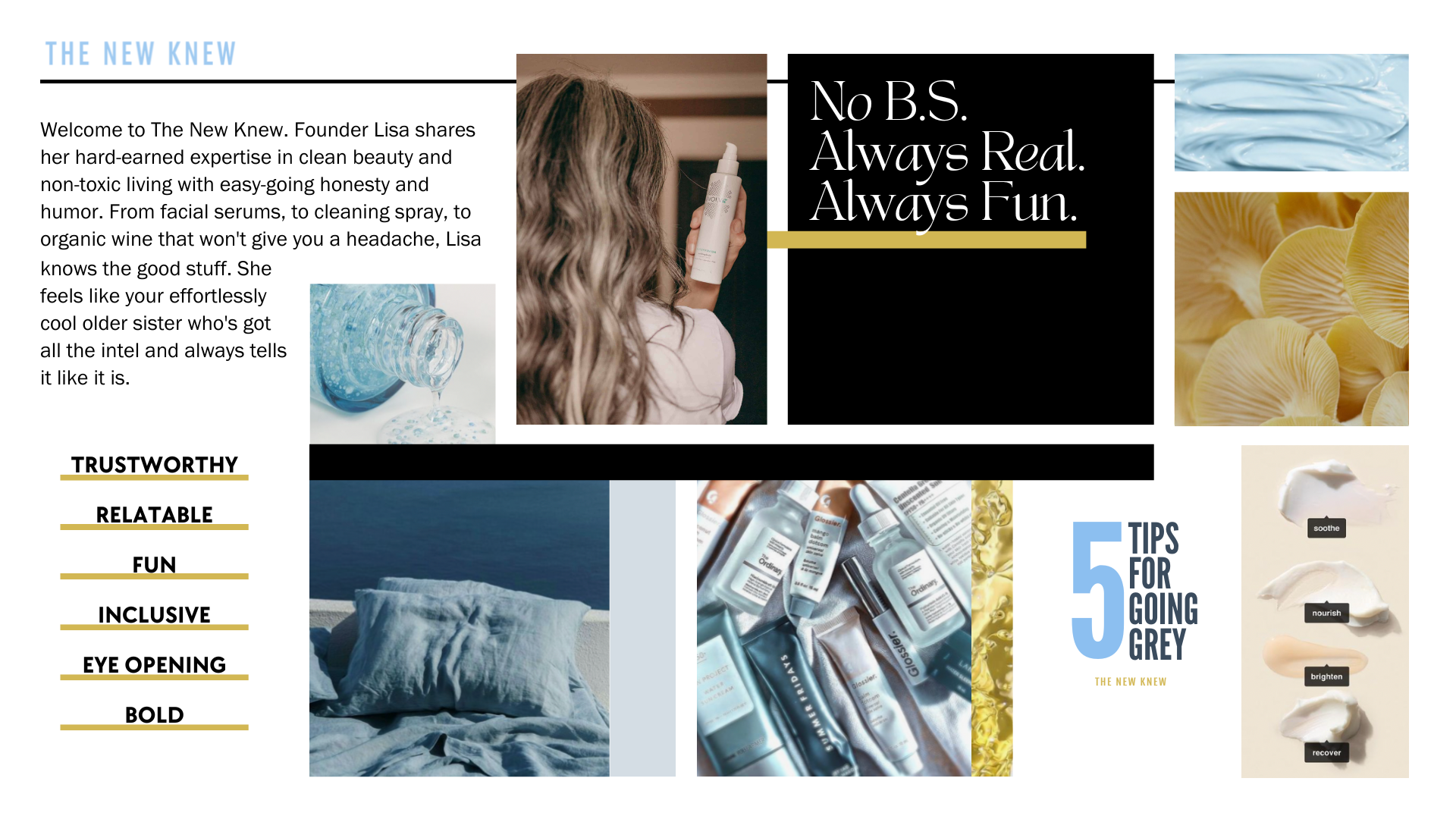 The New Knew - Brand Guide.png