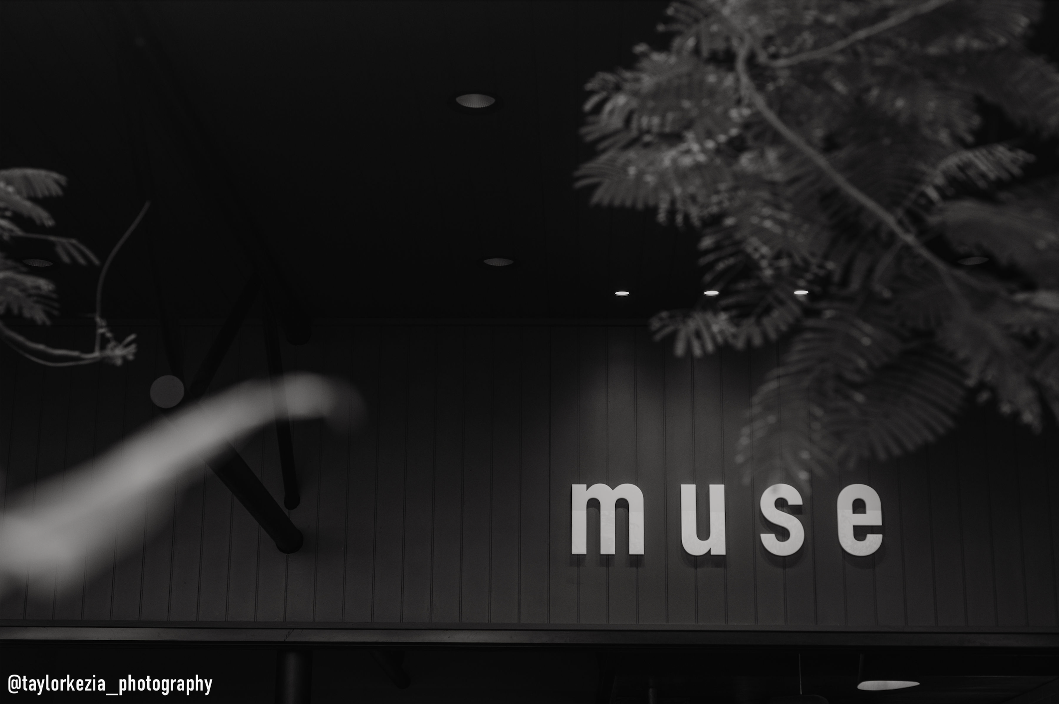 Screen Shot 2022-07-09 at 4.13.42 pm.png