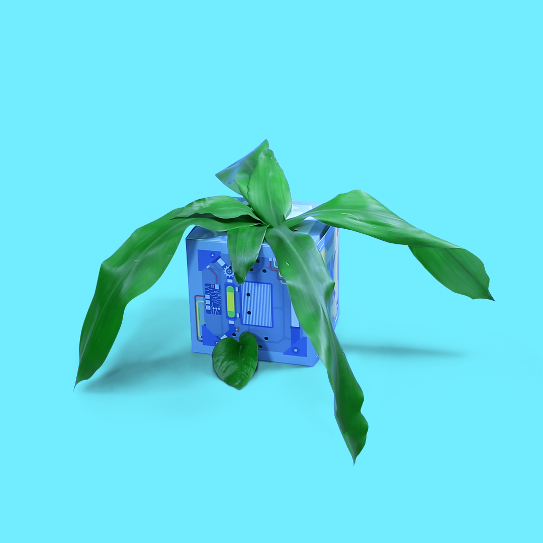 Music Grass