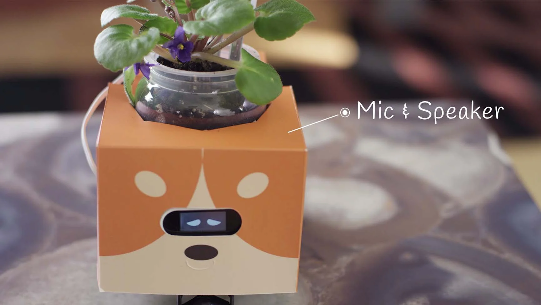 Emotional Flowerpot