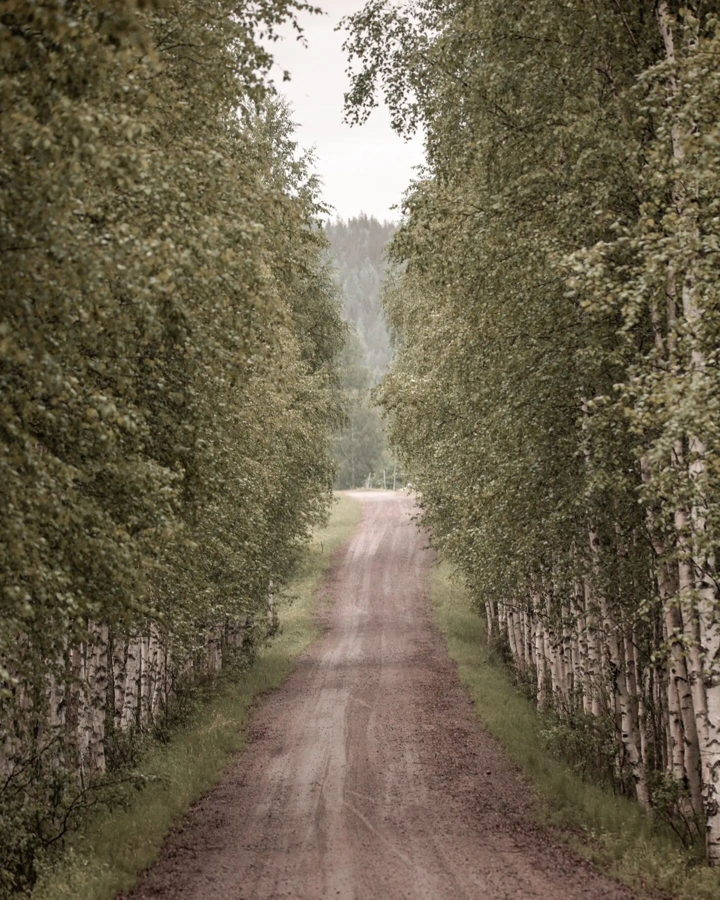 B L O G I. 

Onko sinulla osunut ik&auml;kriisej&auml; vuosikymmenten vaihtumisen taitekohtaan? 

Vuosi sitten 40 vuotta t&auml;ytt&auml;ess&auml;ni minulta kysyttiin, onko kriisi&auml;. Kerroin iloisesti, ettei ole kriisi&auml; n&auml;k&ouml;piiriss