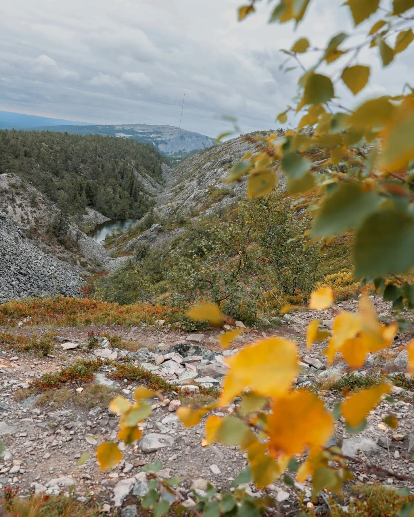 Pyh&auml; p&auml;iv&auml;.

Joko odottelet ruskaa?🍁 Mustikanvarret on jo punastuneet ja muutamat lehdet kellastuneet. Syyskuu saa hyvinkin tulla! 

Vaelleltiin t&auml;n&auml;&auml;n pitkin Pyh&auml;n tuntureita. Upeaa, rakkakivikkoista jylhyytt&auml