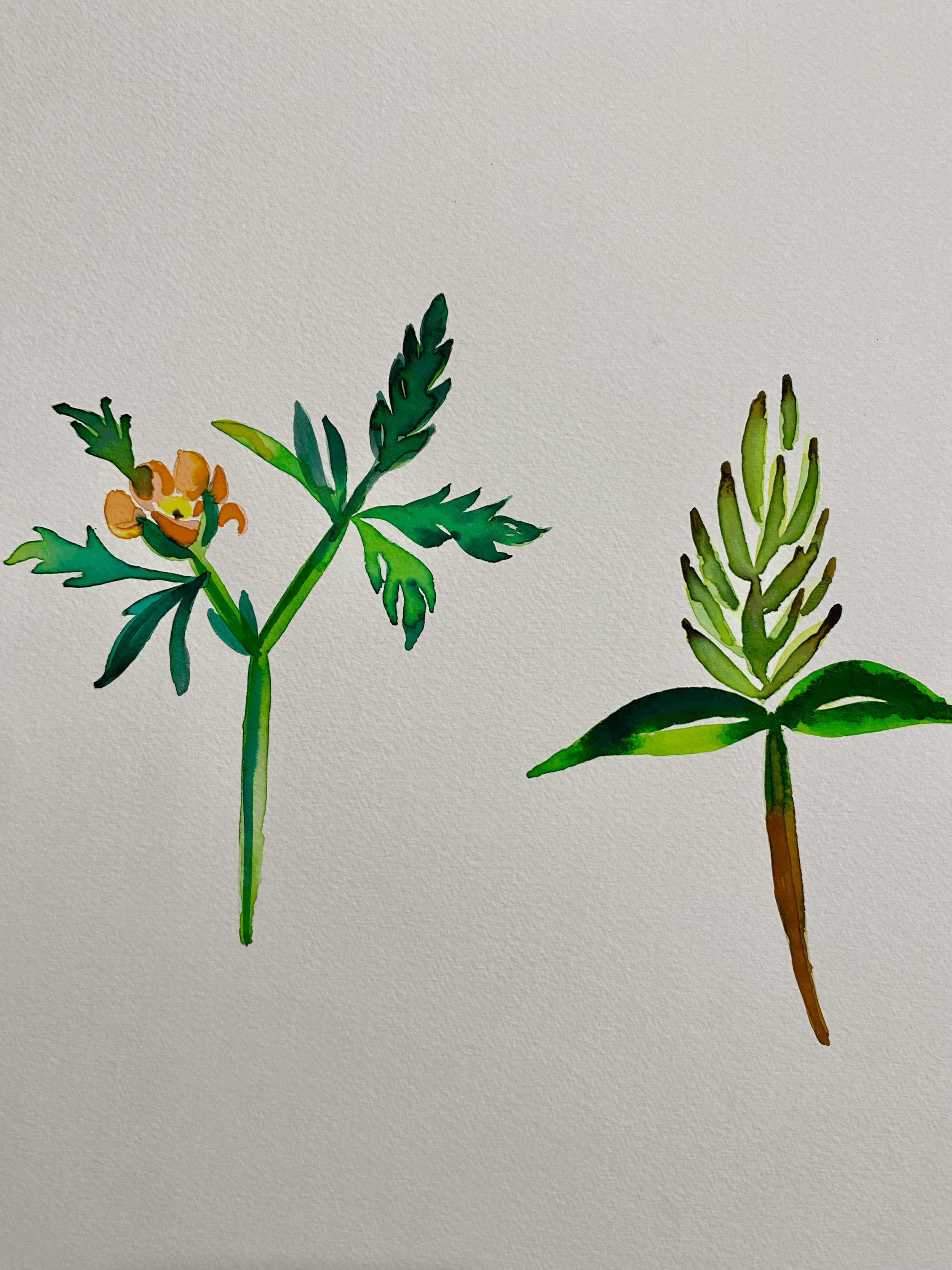 Surprise Blossoms.A3.$240.JPG