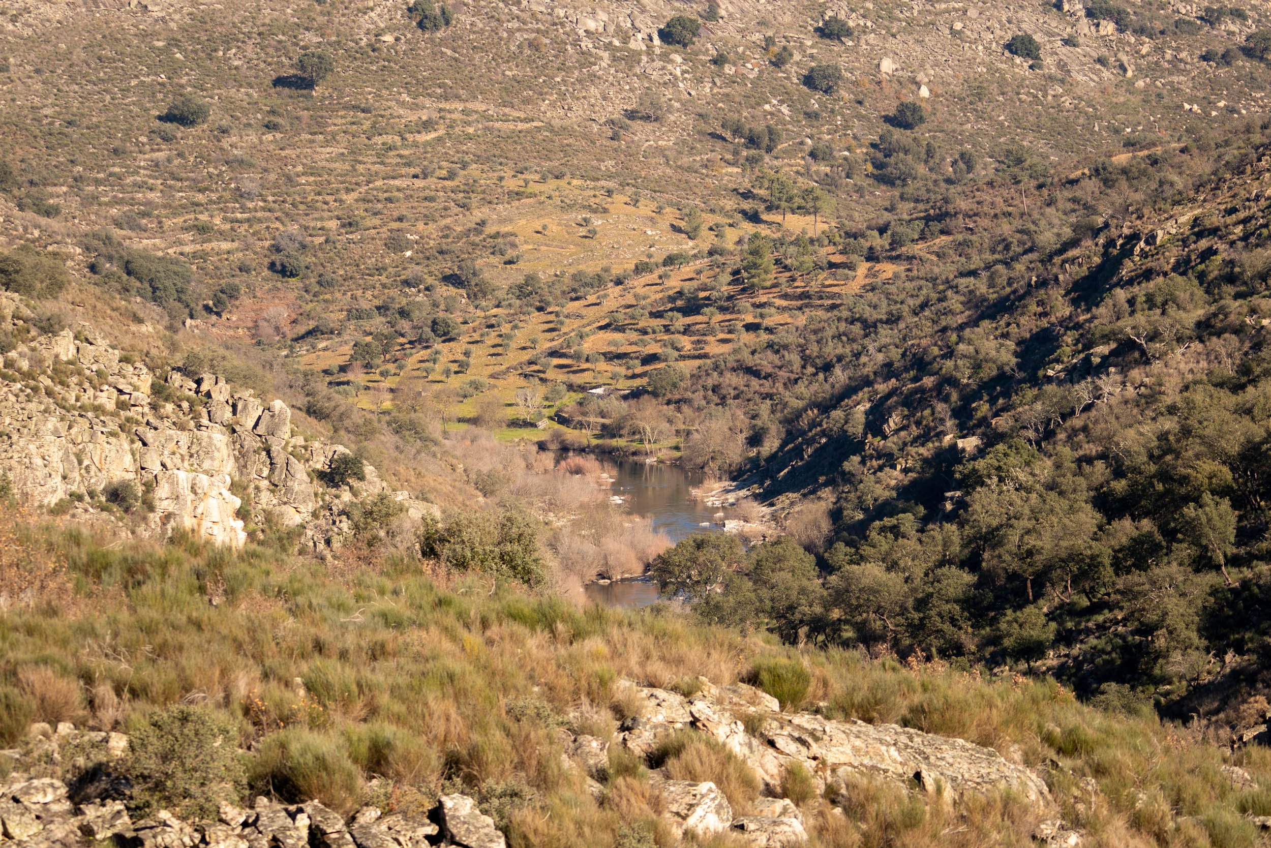 The image shows a landscape looking down from the top of a hill to a river.