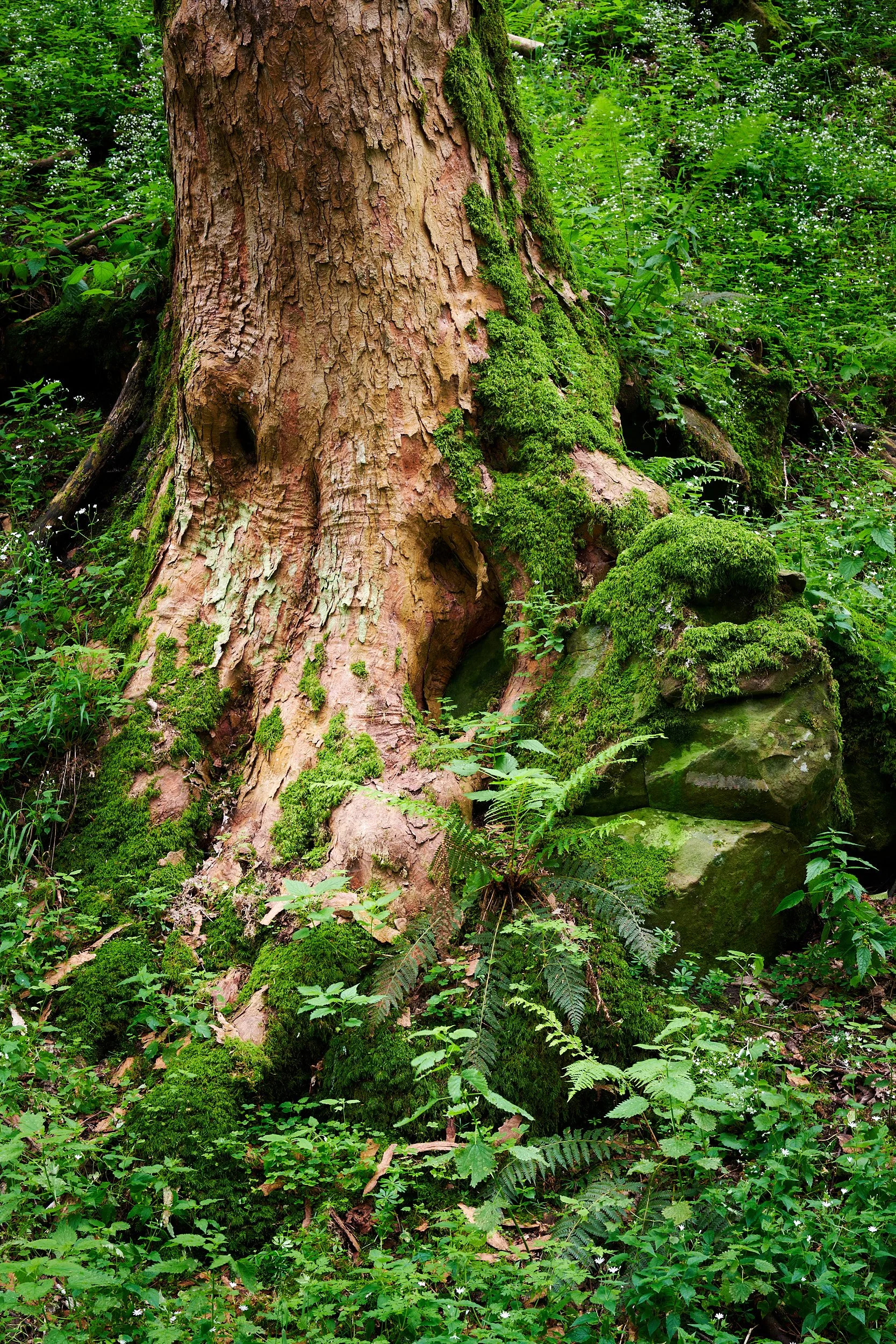 2023-06 giugno-017905.jpg