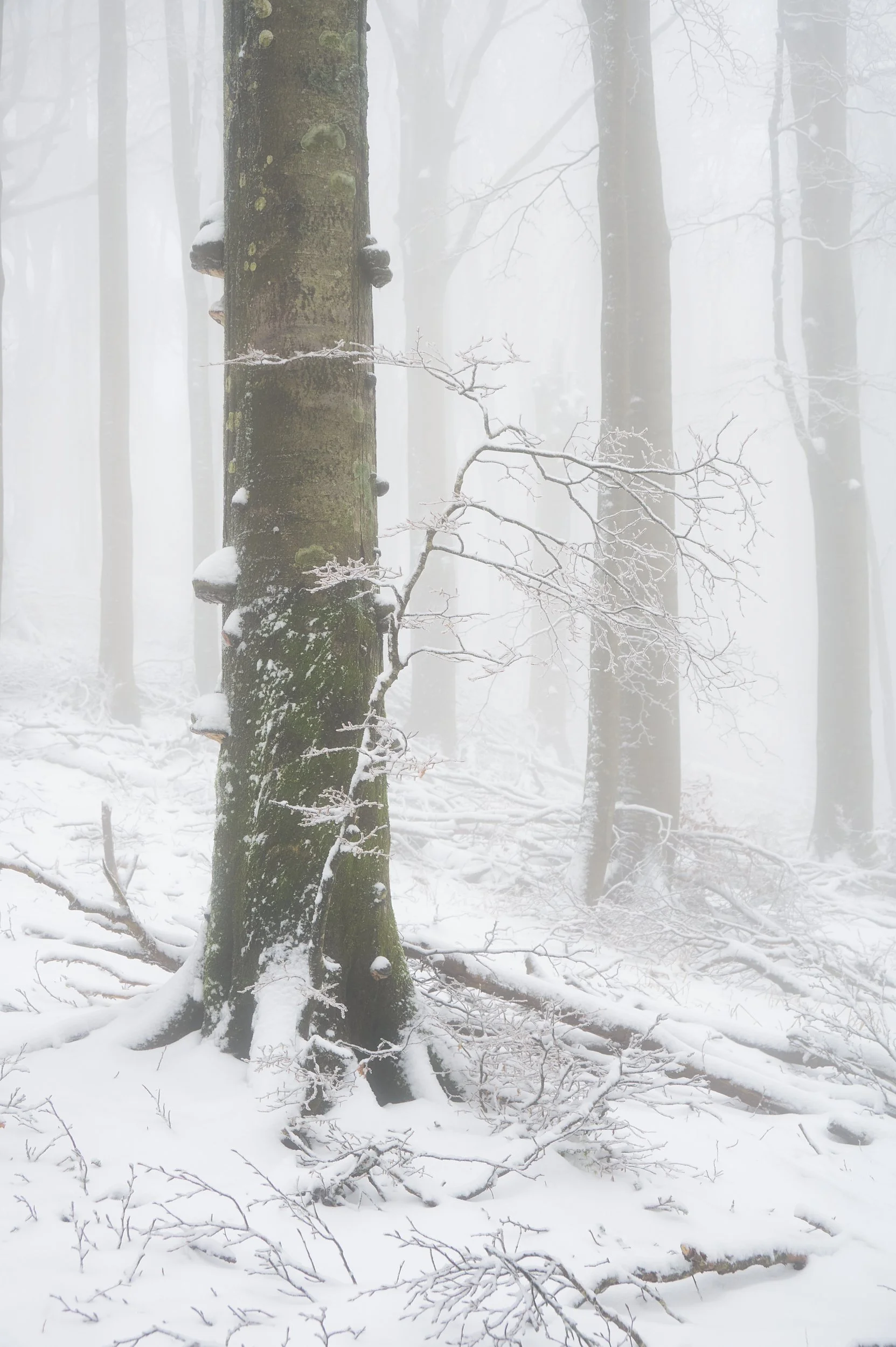 2024 - 01 gennaio-024200.jpg