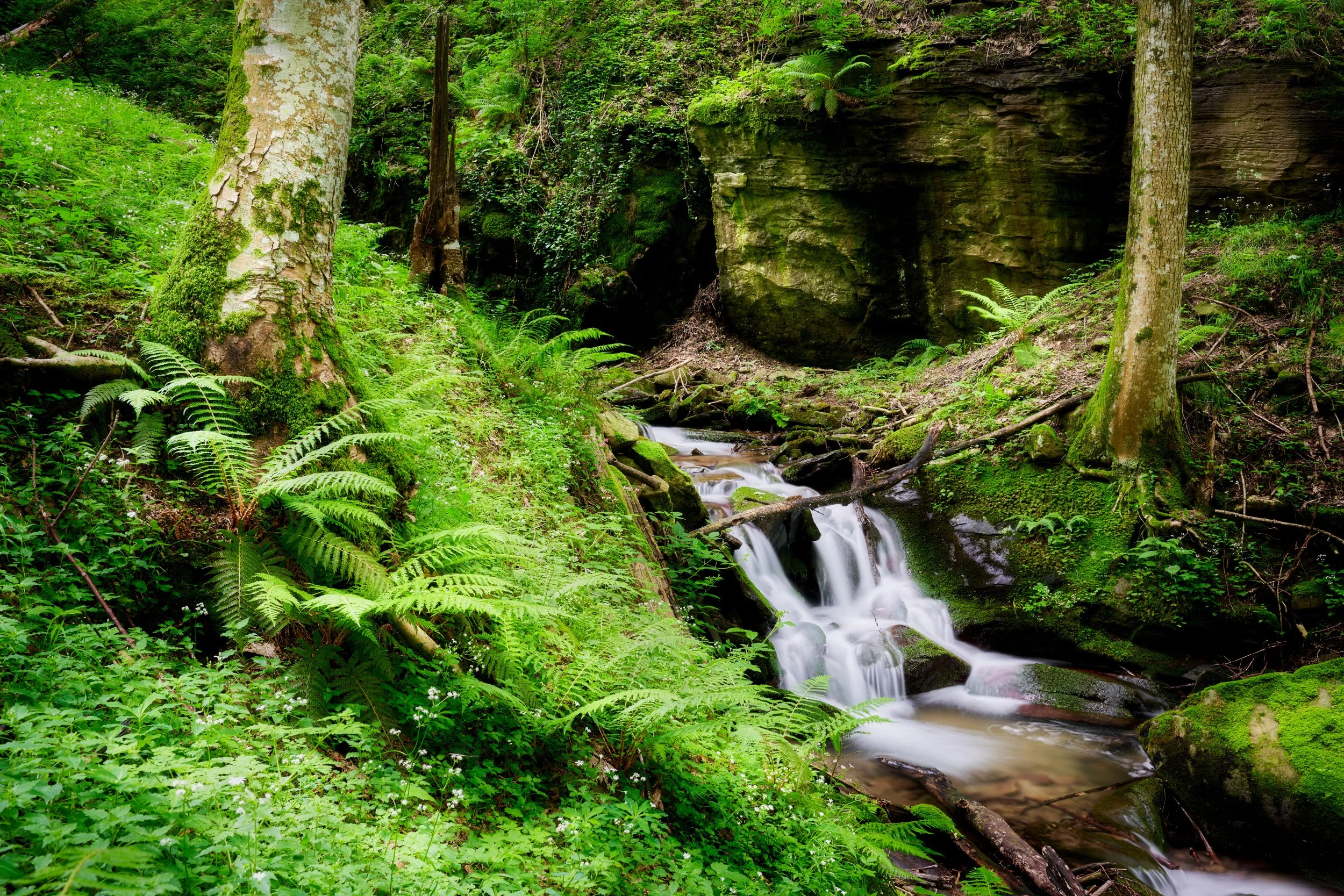 2023-06 giugno-018828.JPG