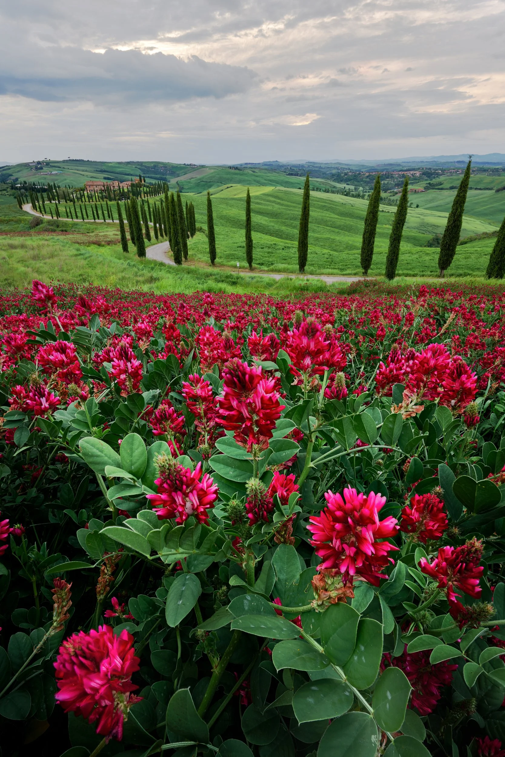 2023-05 maggio-018432 (2023-07-17T16_20_30.026).JPG