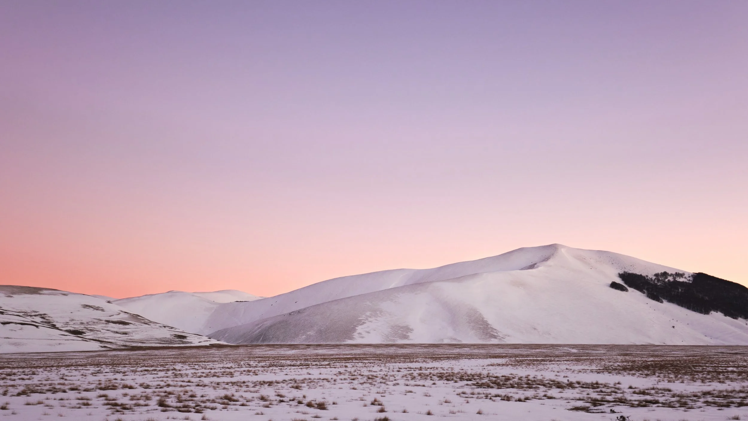 2022-01 gennaio-6967.JPG