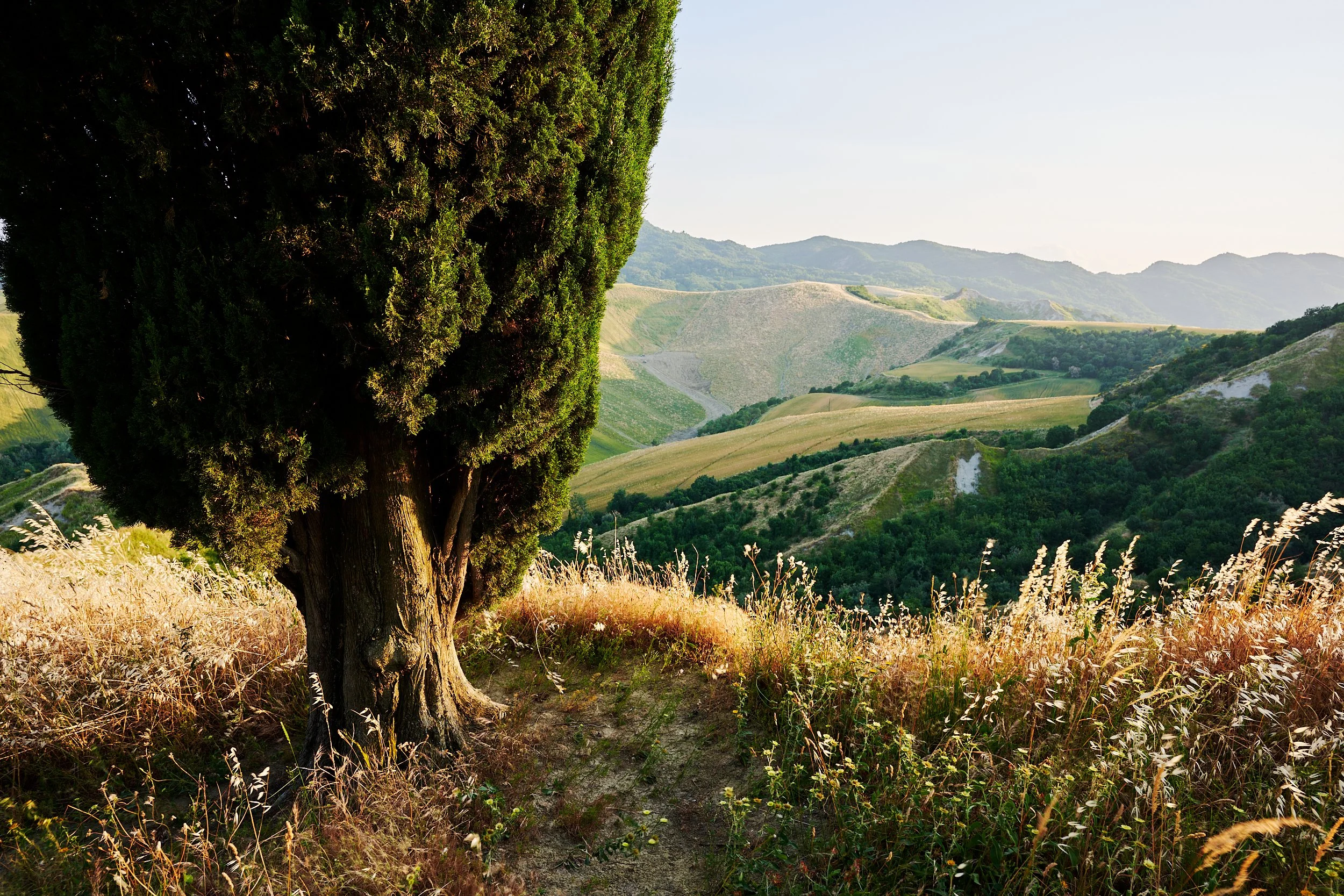 2025 - 06 giugno-044050.jpg