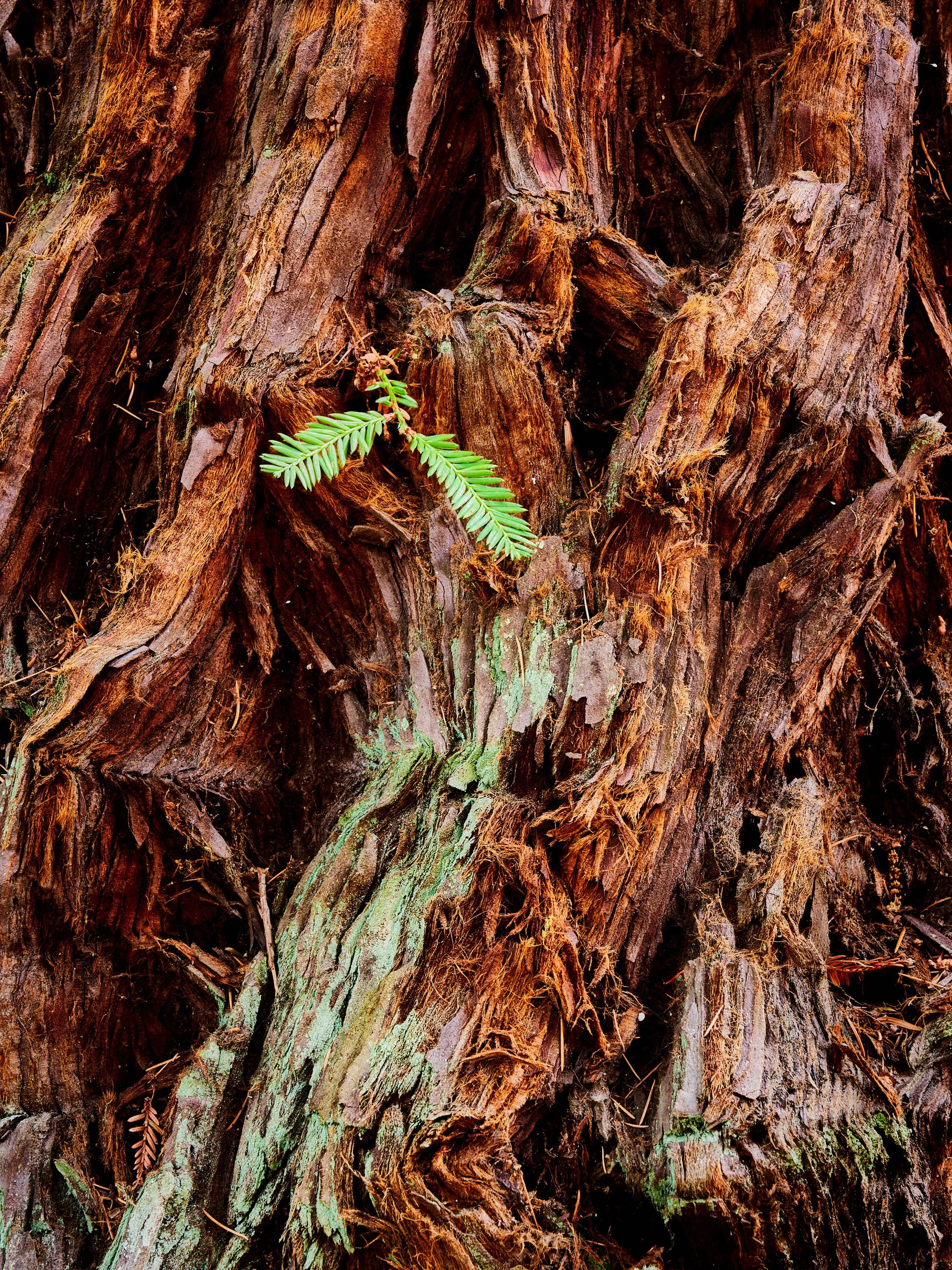 2022-08 agosto-13100.JPG