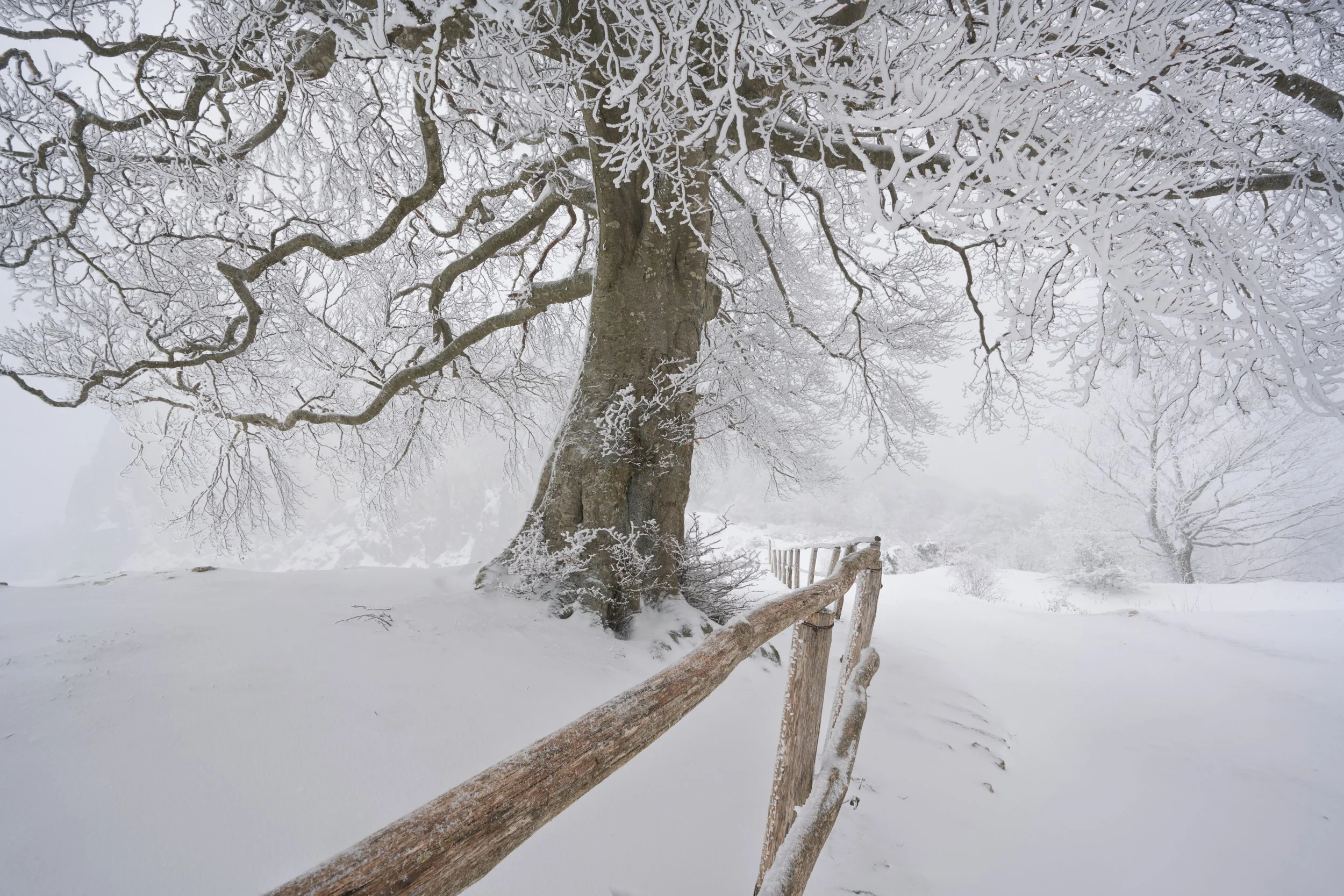 2023-01 gennaio-015879.JPG