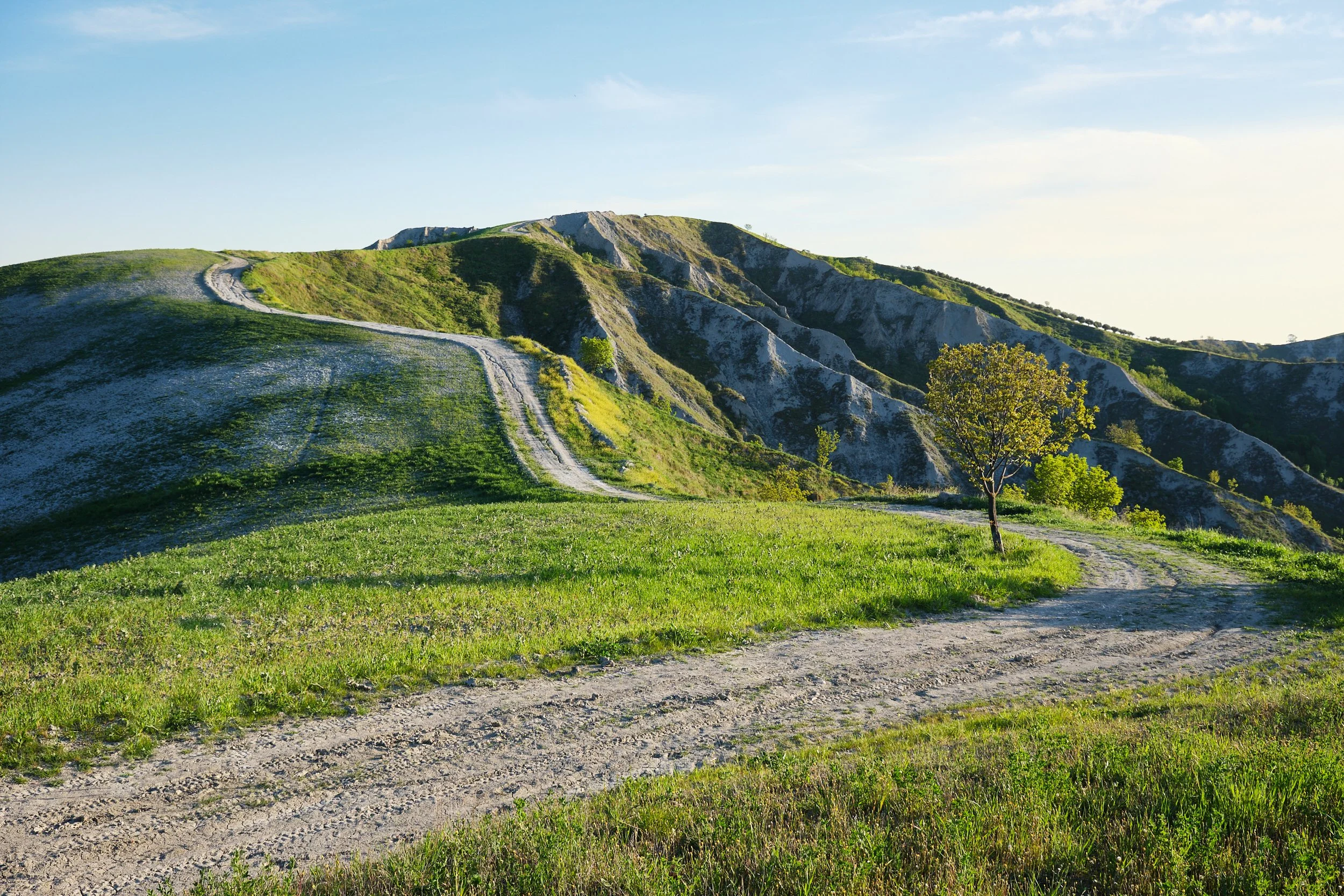 2022-04 aprile-8064.jpg