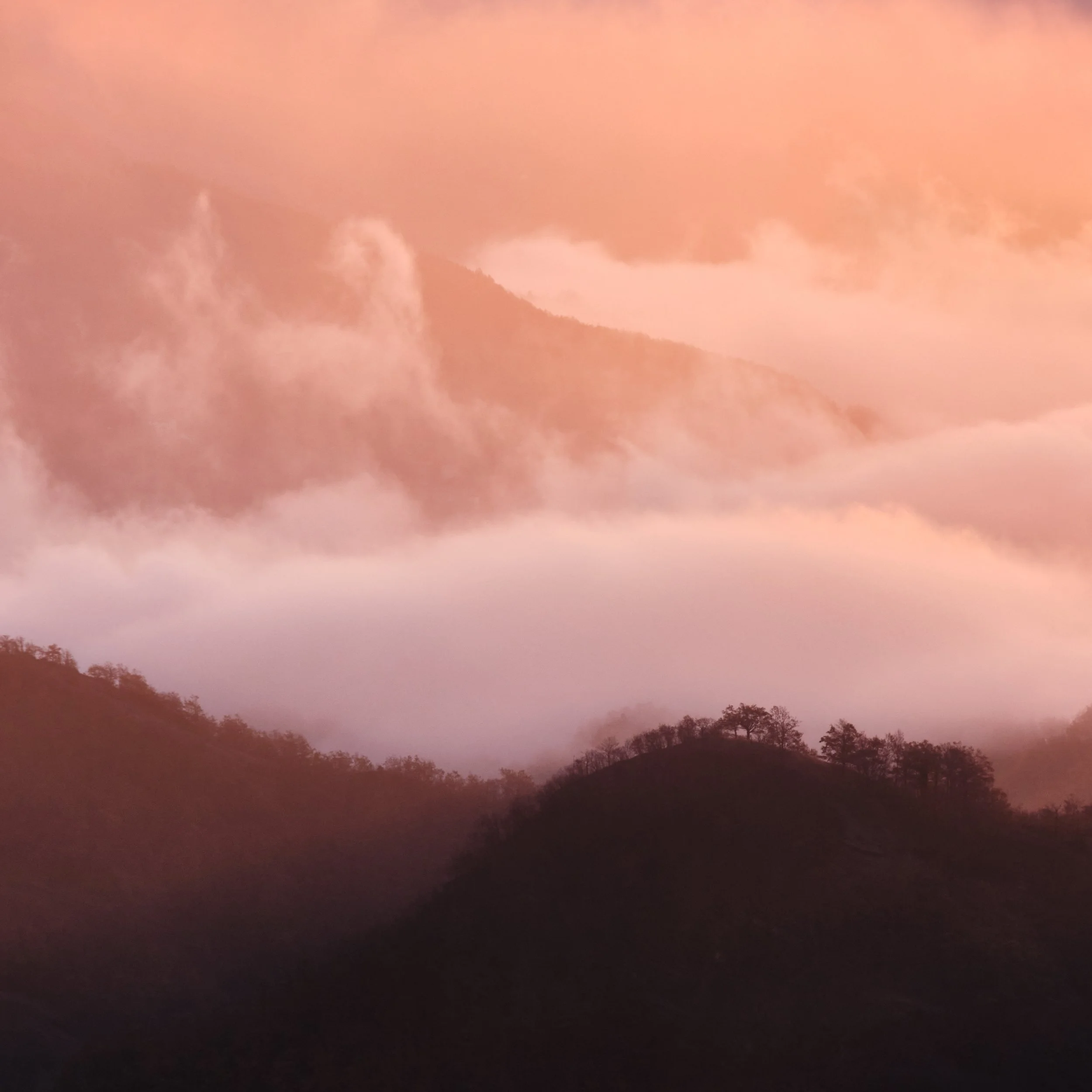 2021-10 varie novembre-4801 1.JPG