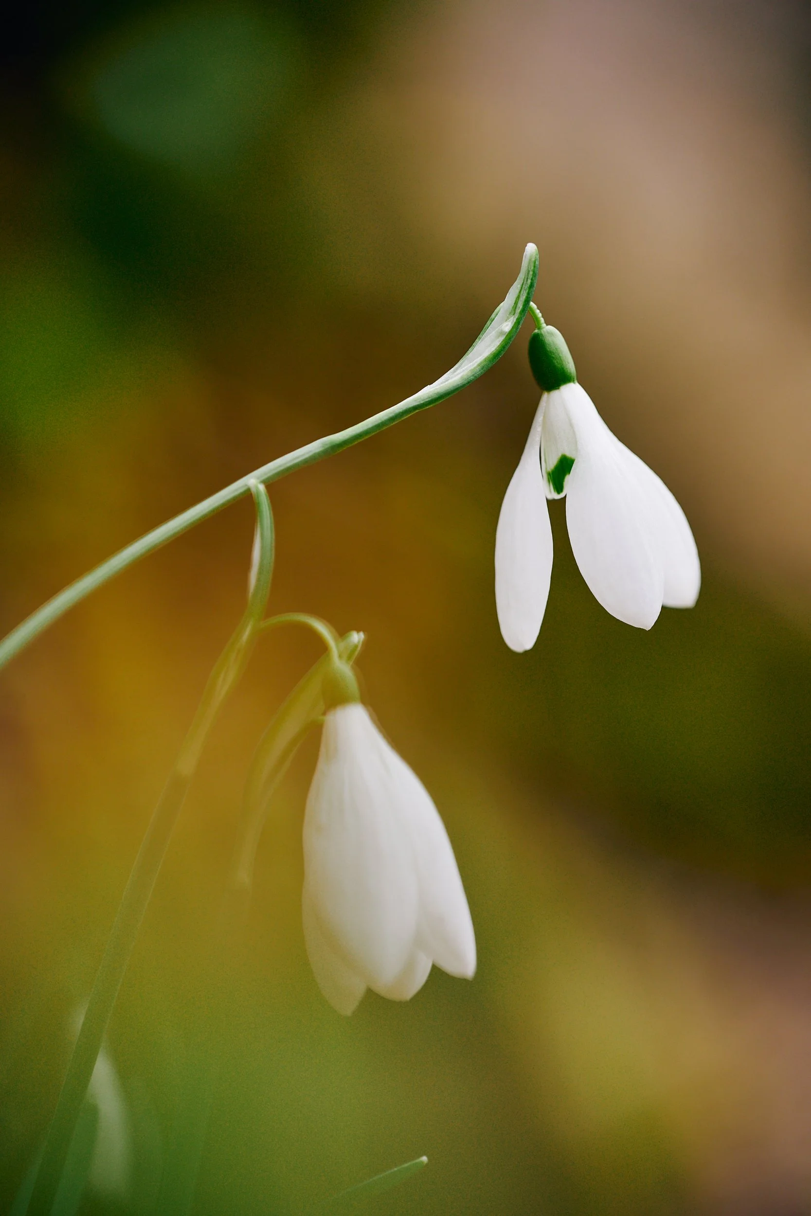 2024 - 02 febbraio-024164.jpg