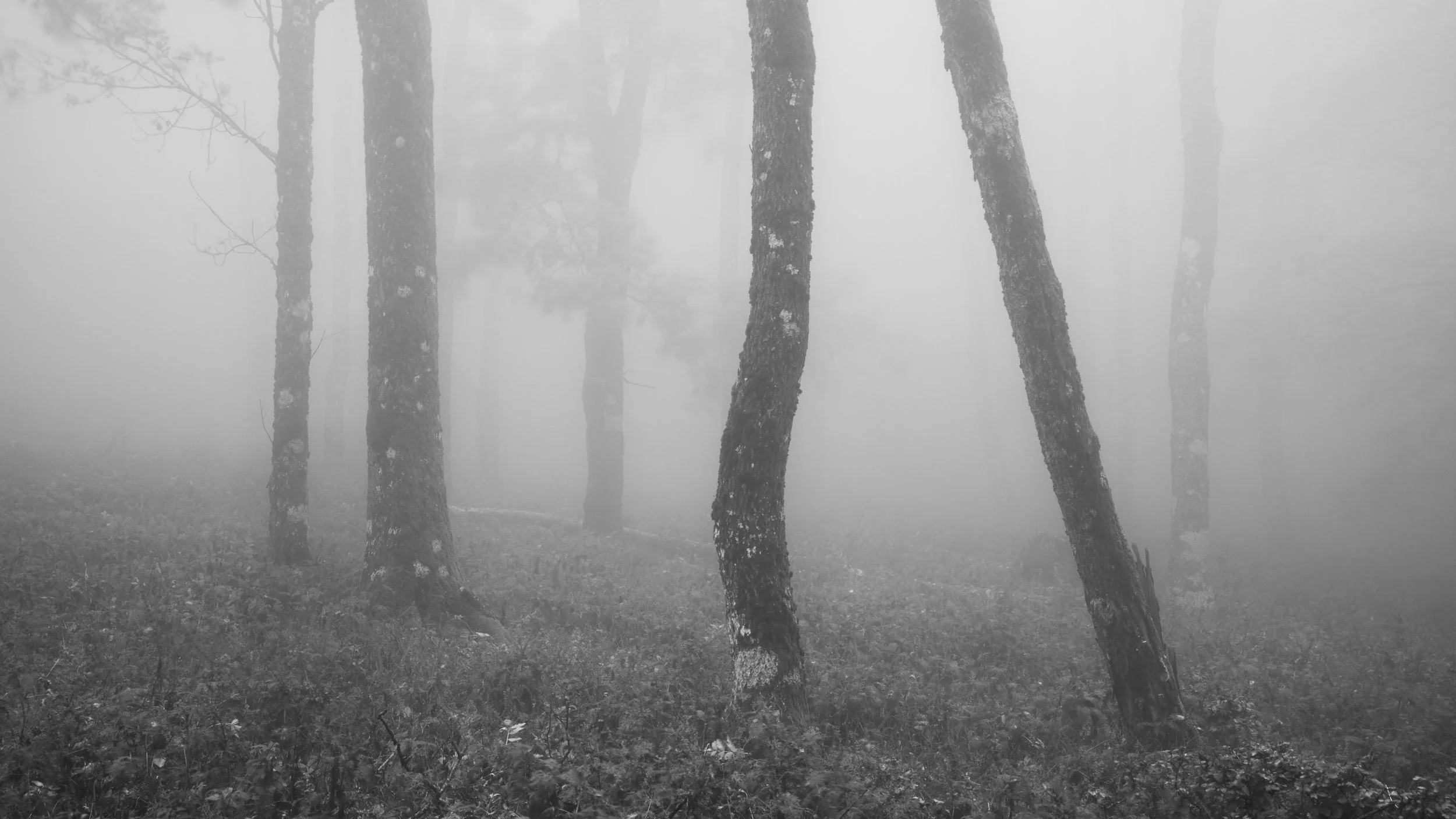 2022-10 ottobre-14041.JPG