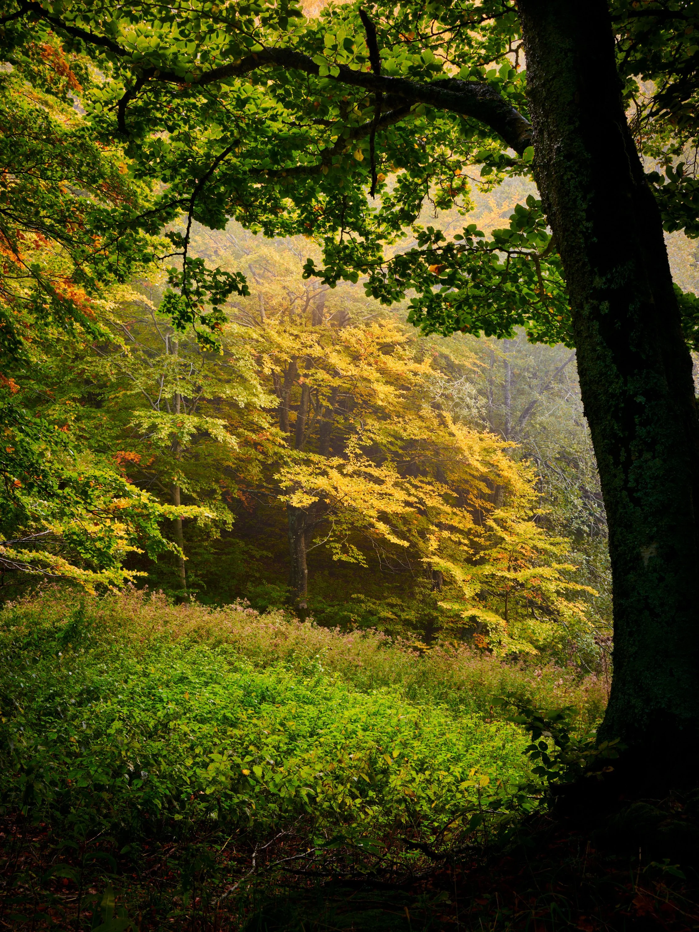 2022-10 ottobre-13232 1.JPG