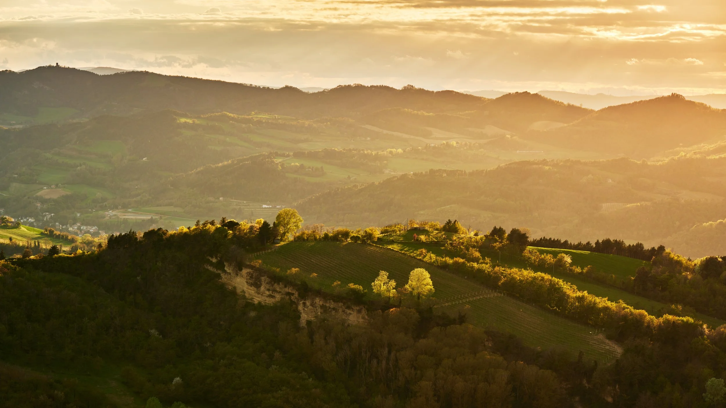 2023-04 aprile-016650.JPG