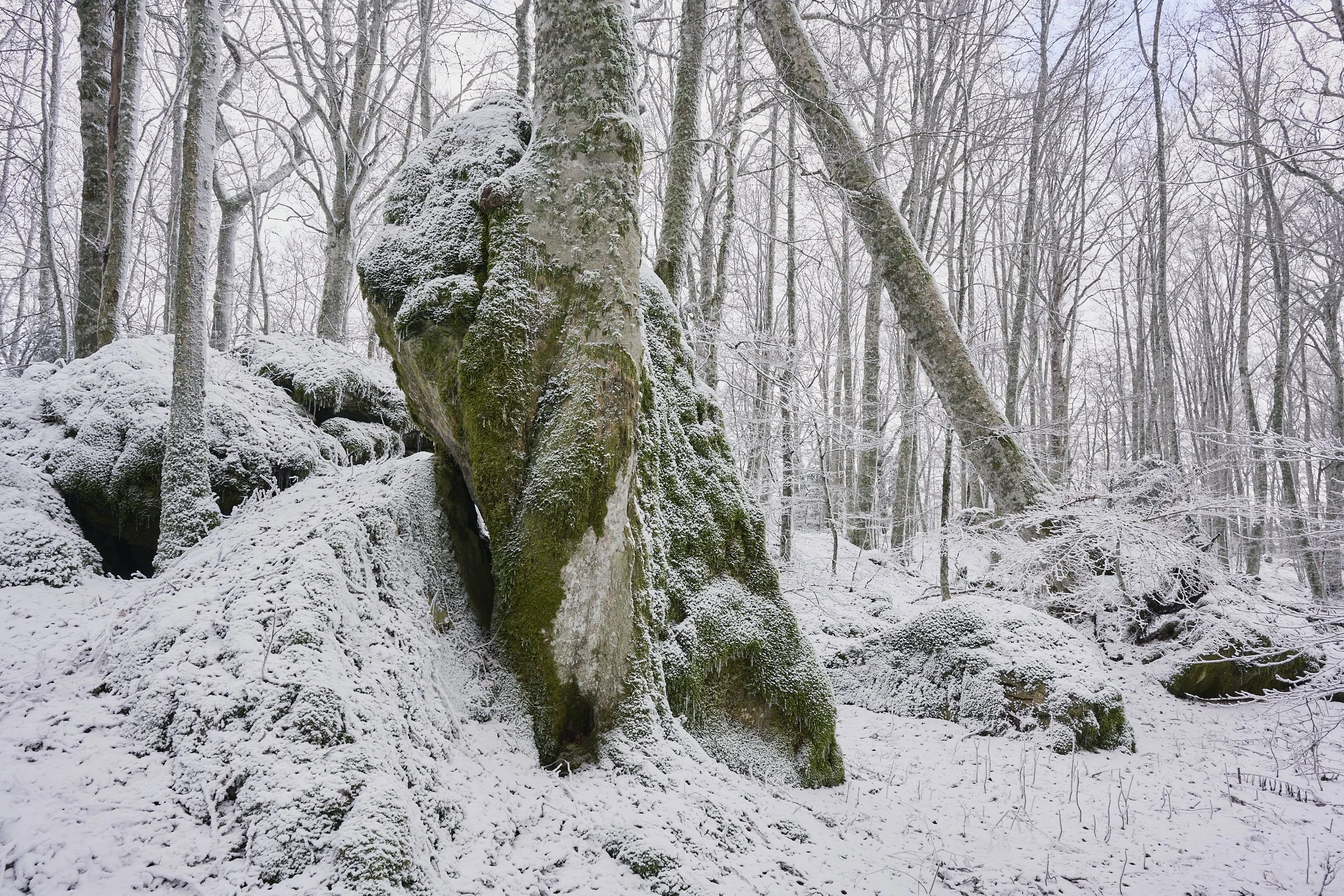 2025 - 02 febbraio-034614.jpg