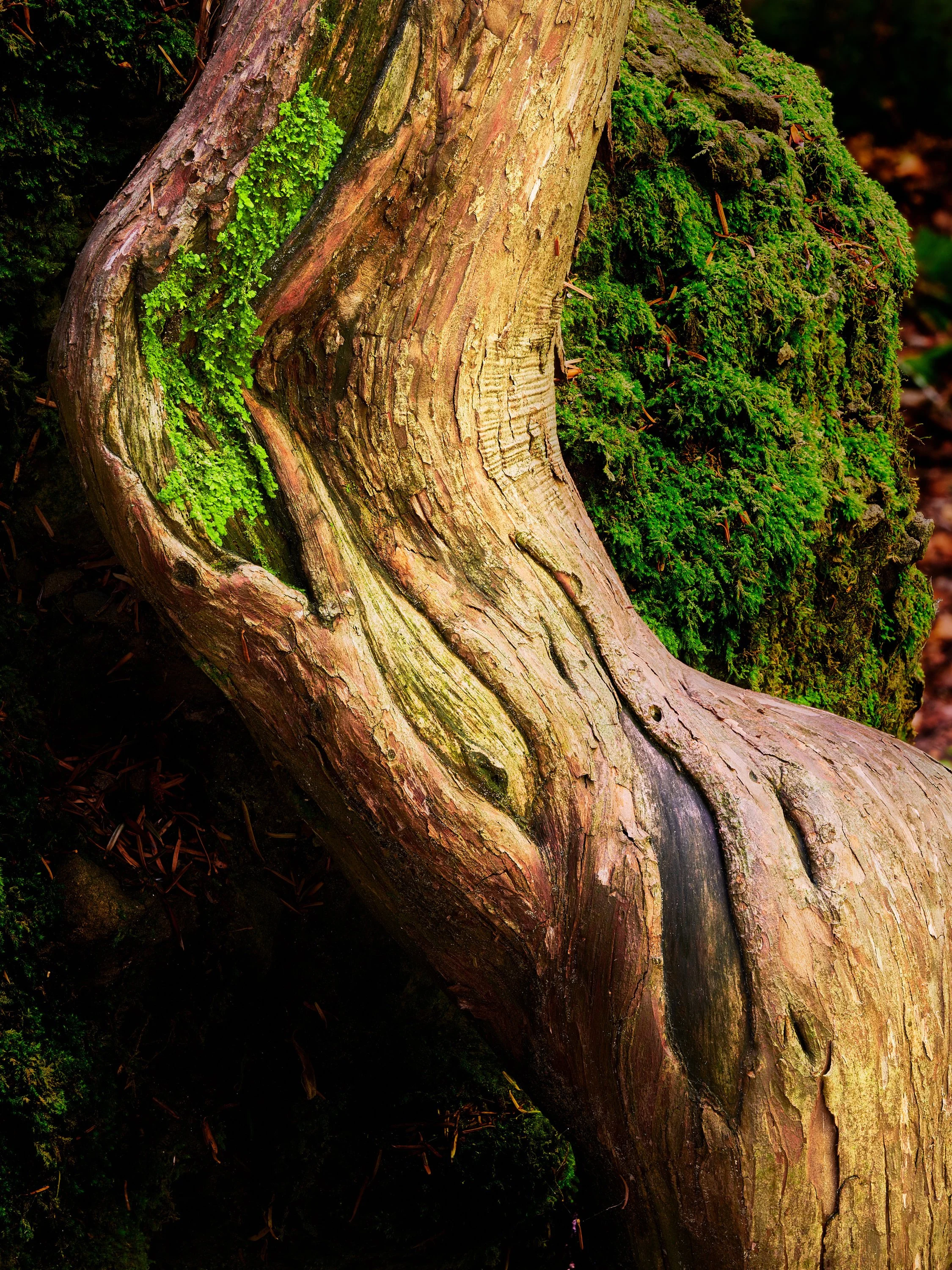 2022-08 agosto-13104.JPG