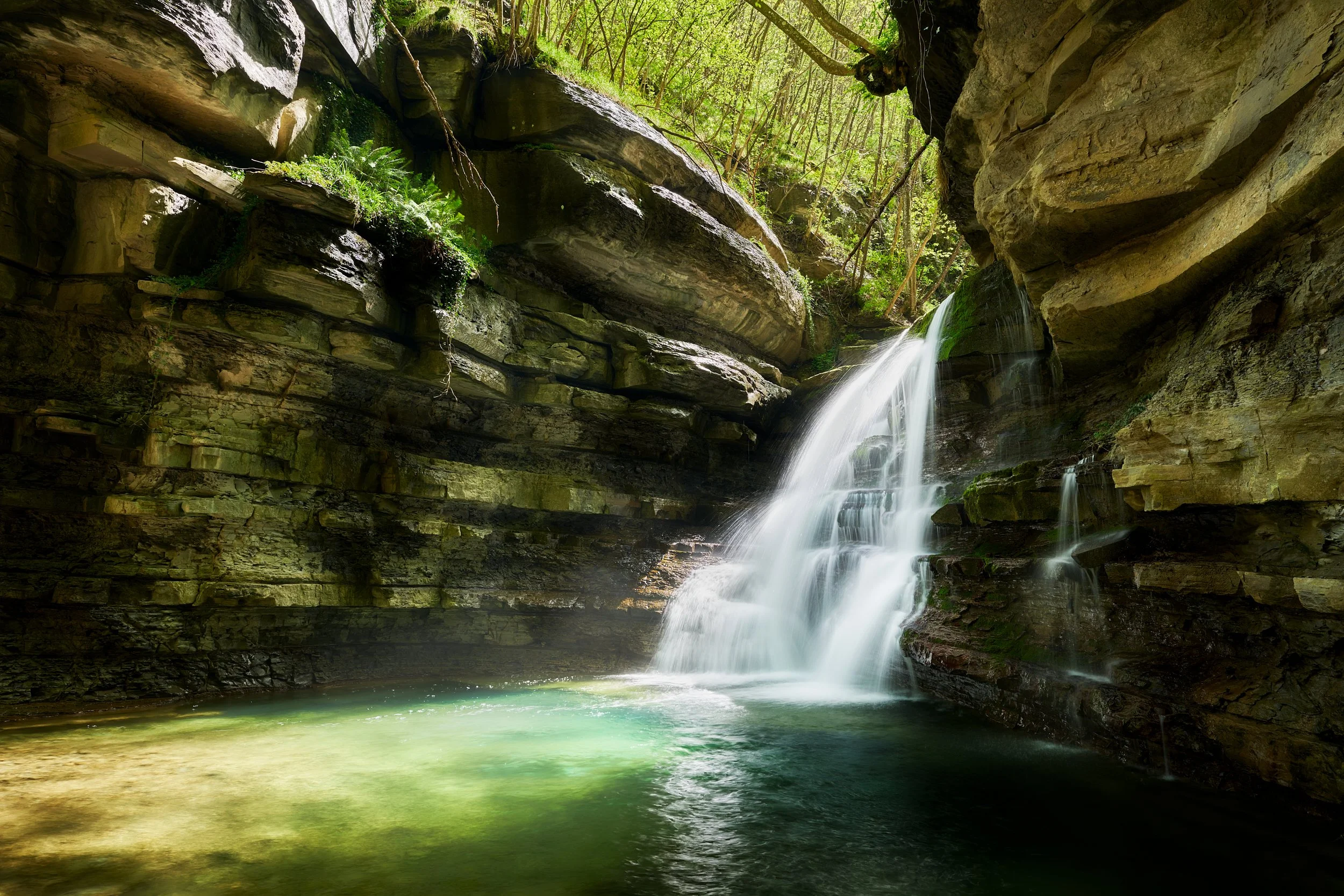 2024 - 04 aprile-027018.jpg